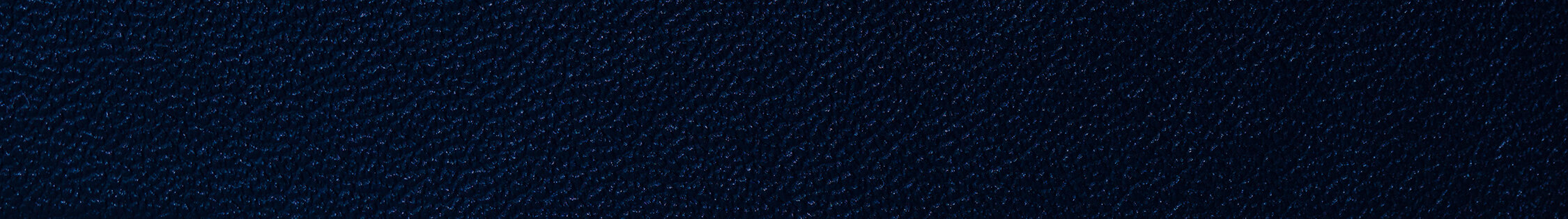 blue leather copy.jpg