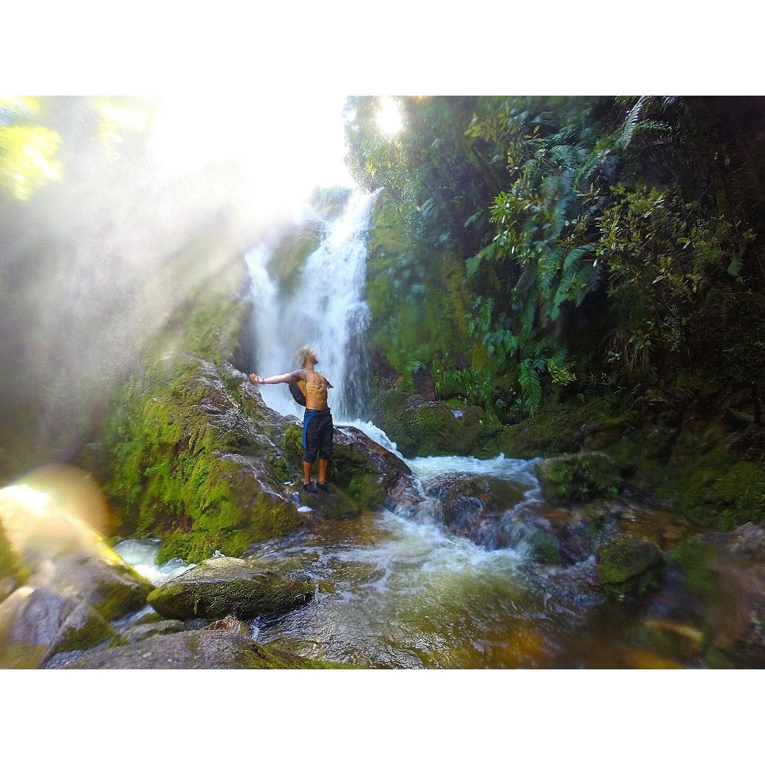 Reopening a Closed off Being- How the Red Light Reflex Has Closed off more than just your Physical Body and 3 ways You can Resolve it