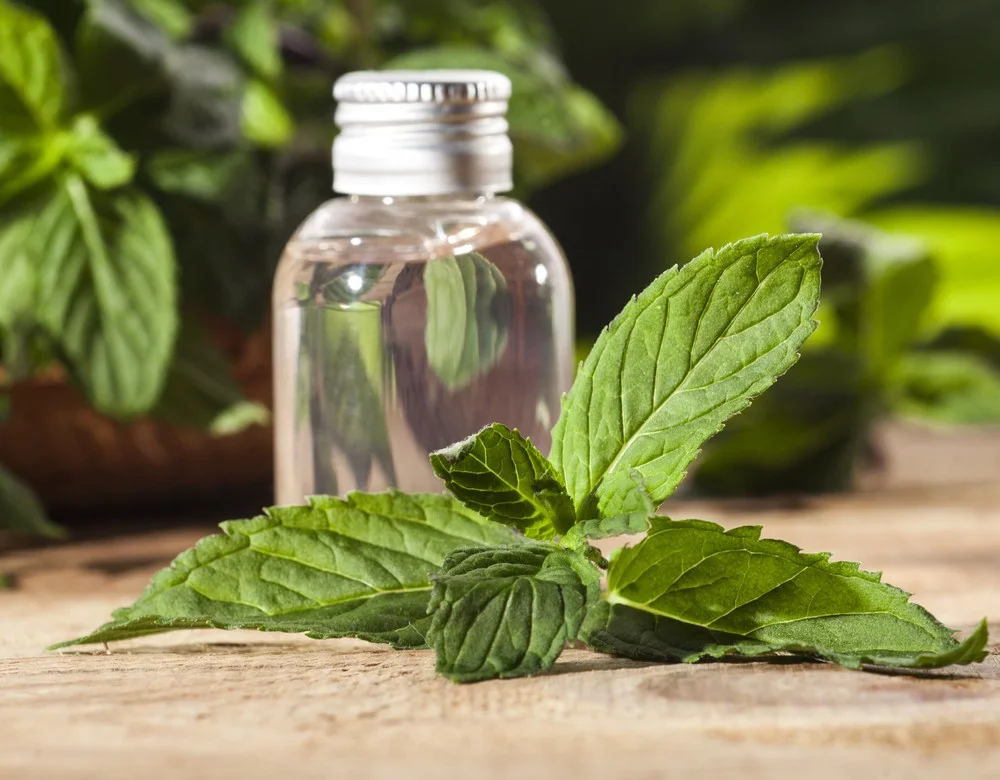 Peppermint-oil-2.jpg