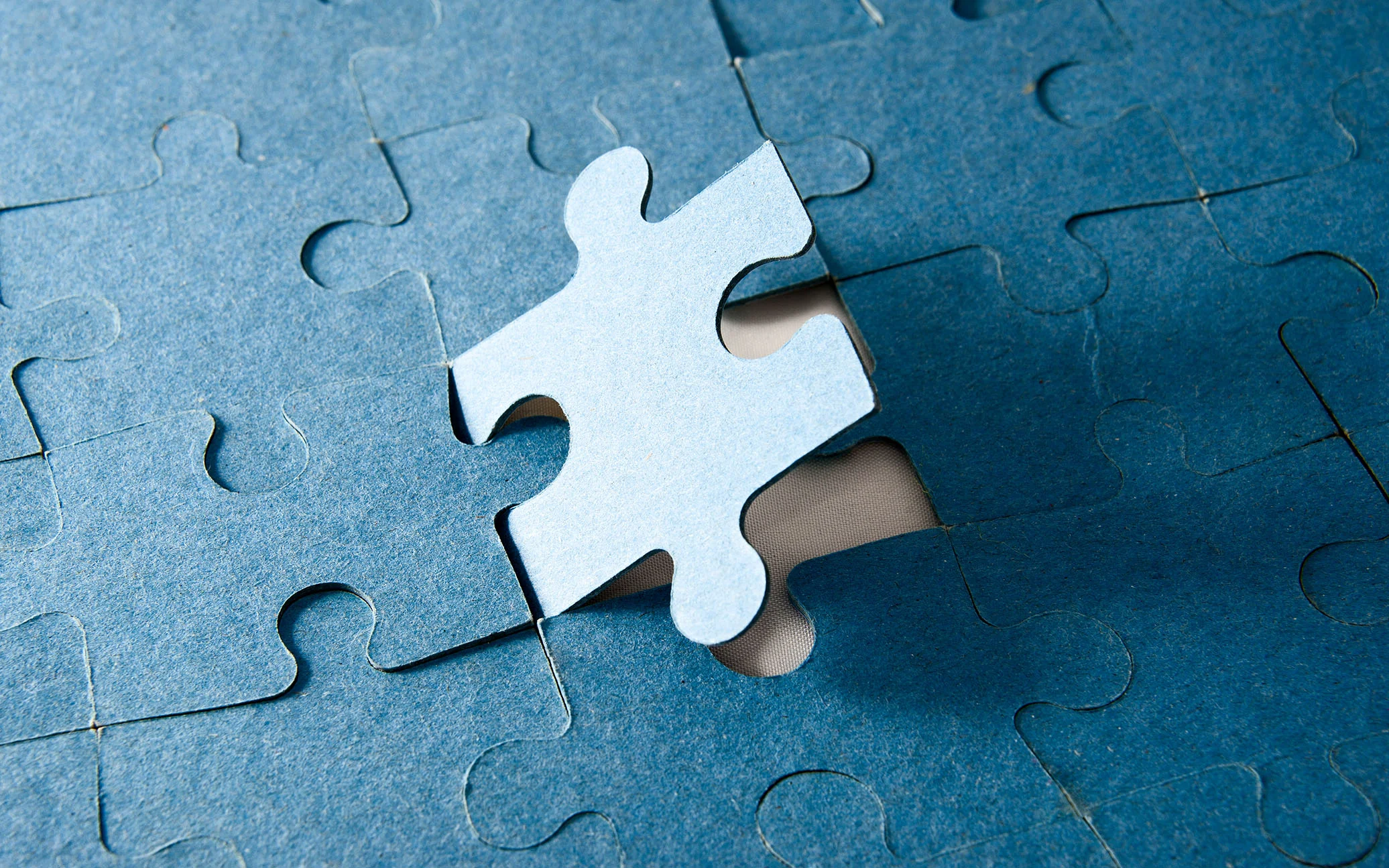 ds170829_puzzle.jpg