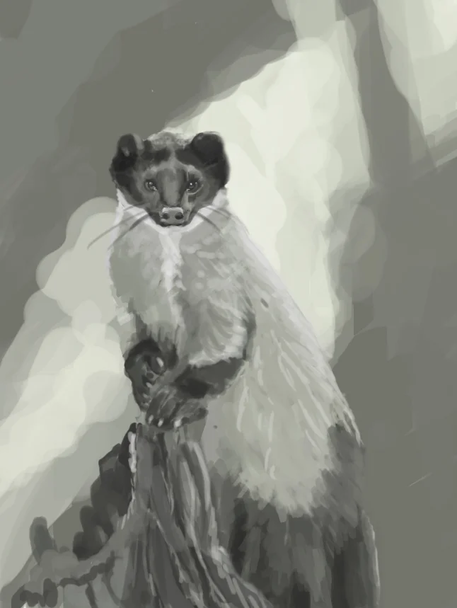 ferrit.jpg