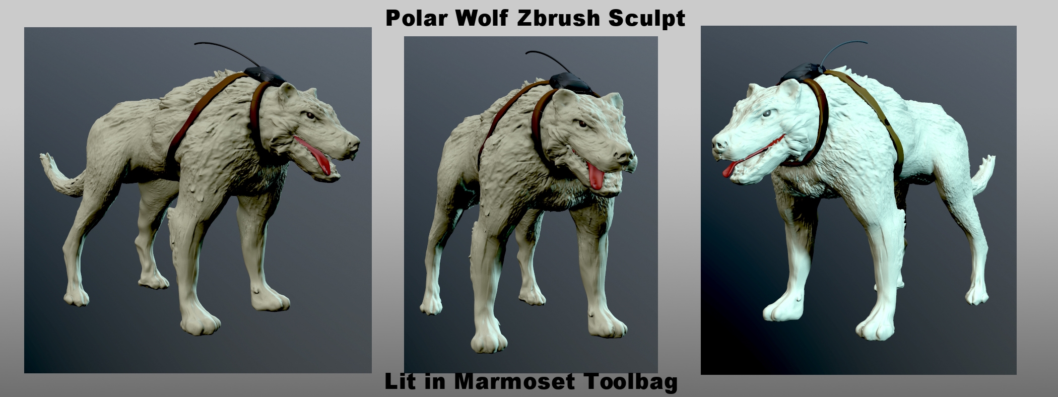 Puppersturnaround.jpg