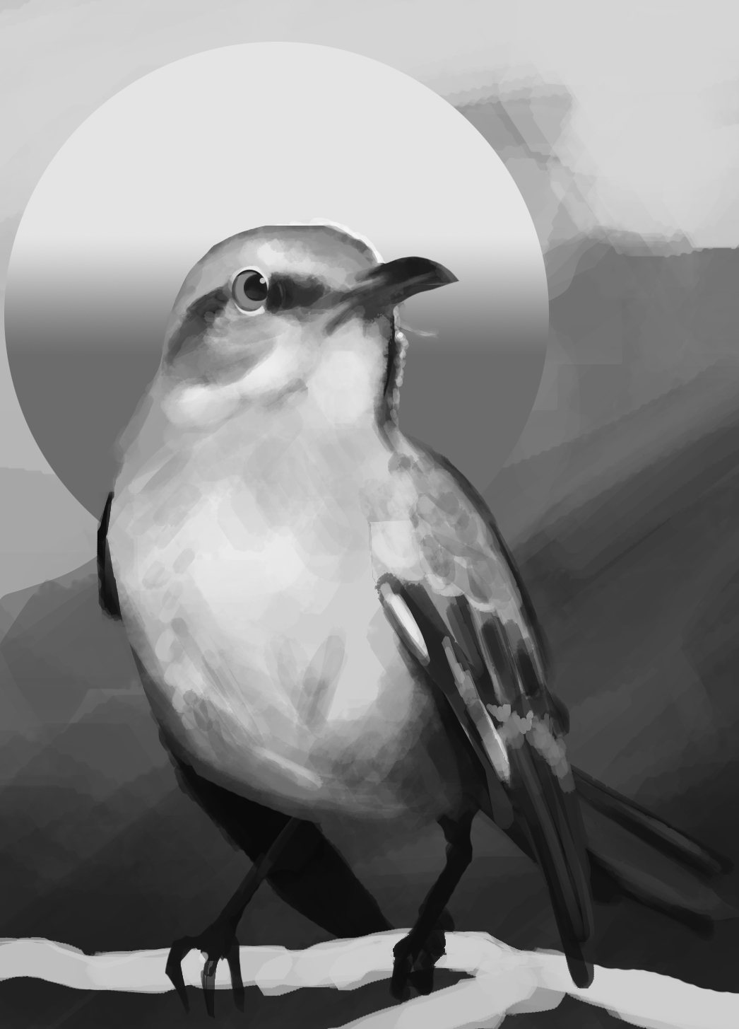 getdrubkjdrawbirds.jpg