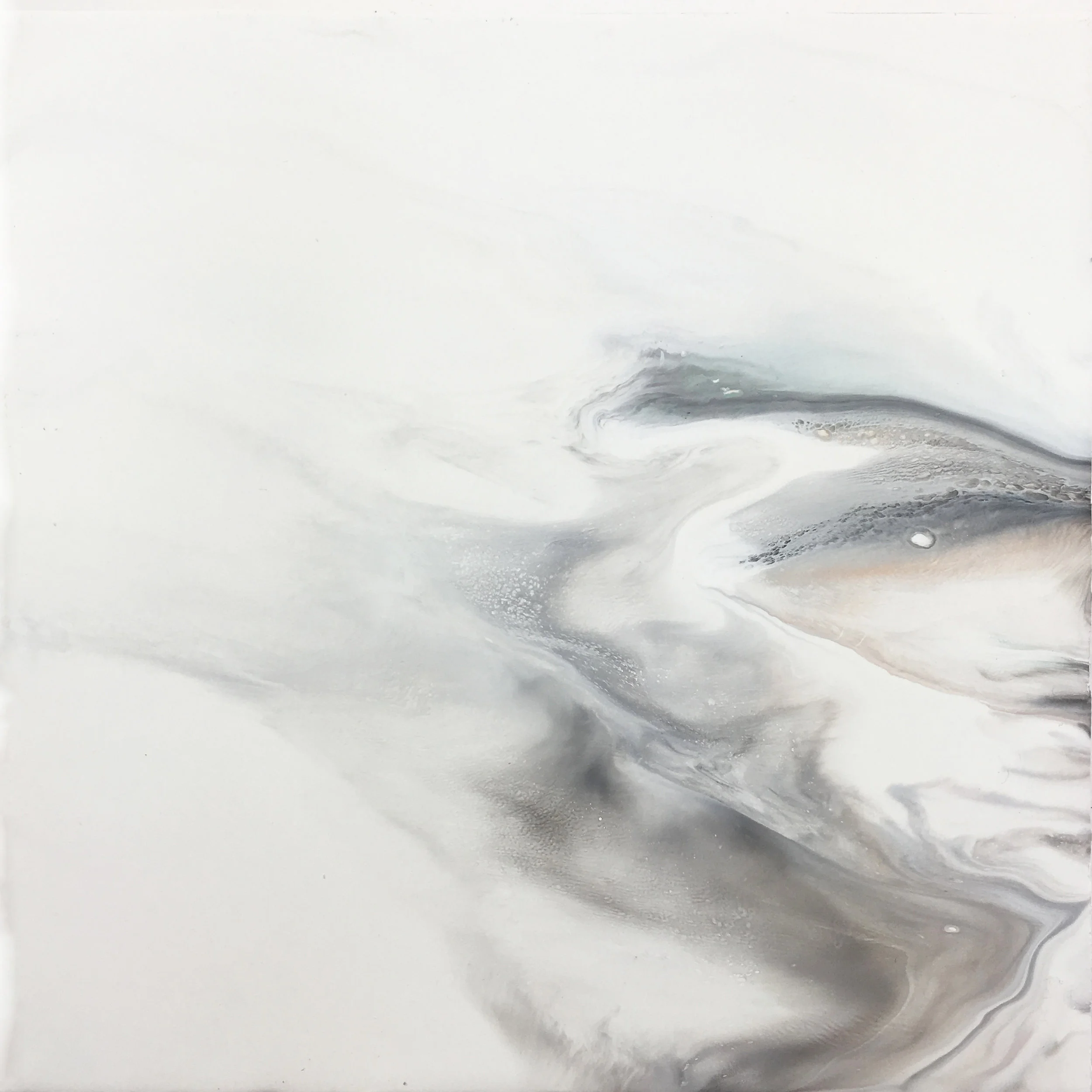 Seeking attention from Matt Encaustic 24"x24" SOLD