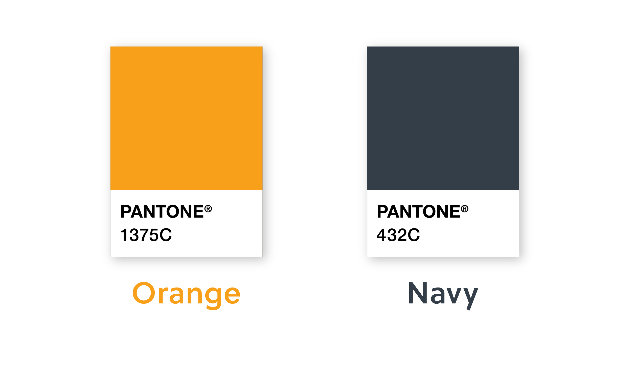 Luce_Carter_Portfolio_Swatch_Swatches.png