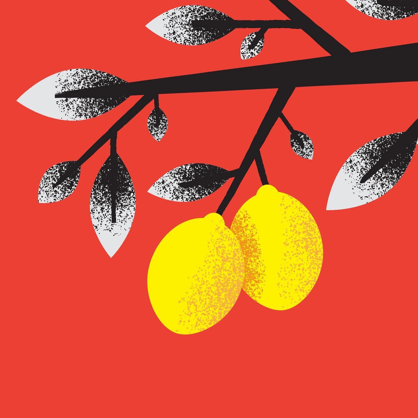 Nothing says summer like lemonade!
 Work in progress for an illustration. #lemons #lemonade #summer #illustration