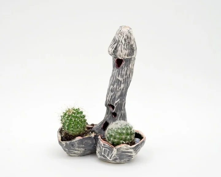 Woody , 2016 Ceramic, cacti 9 × 7 × 5 1/2 in 22.9 × 17.8 × 14 cm
