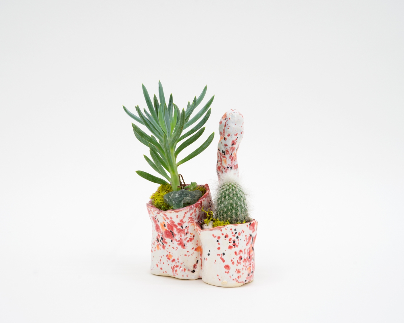    Level with Genitalia    Ceramic, cacti  6 × 4 × 5 in  15.2 × 10.2 × 12.7 cm    