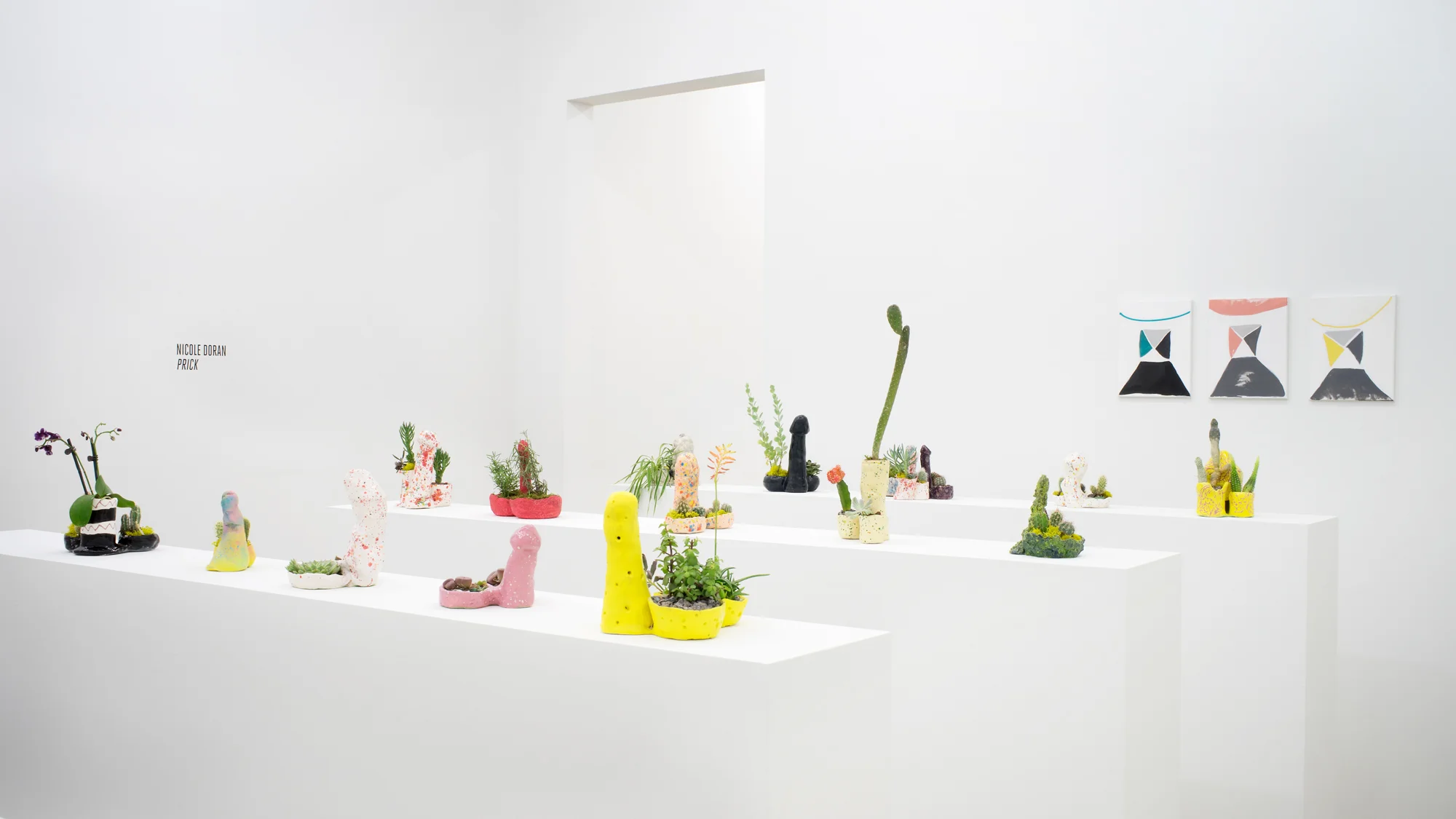 Nicole-Doran_Installation-Shoot-No.4.jpg