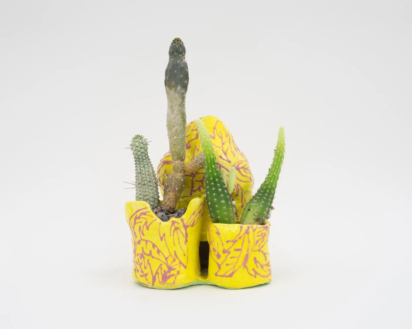 Nicole-Doran_Down-by-the-bay_2016_7x7x6.5-in_HR.jpg