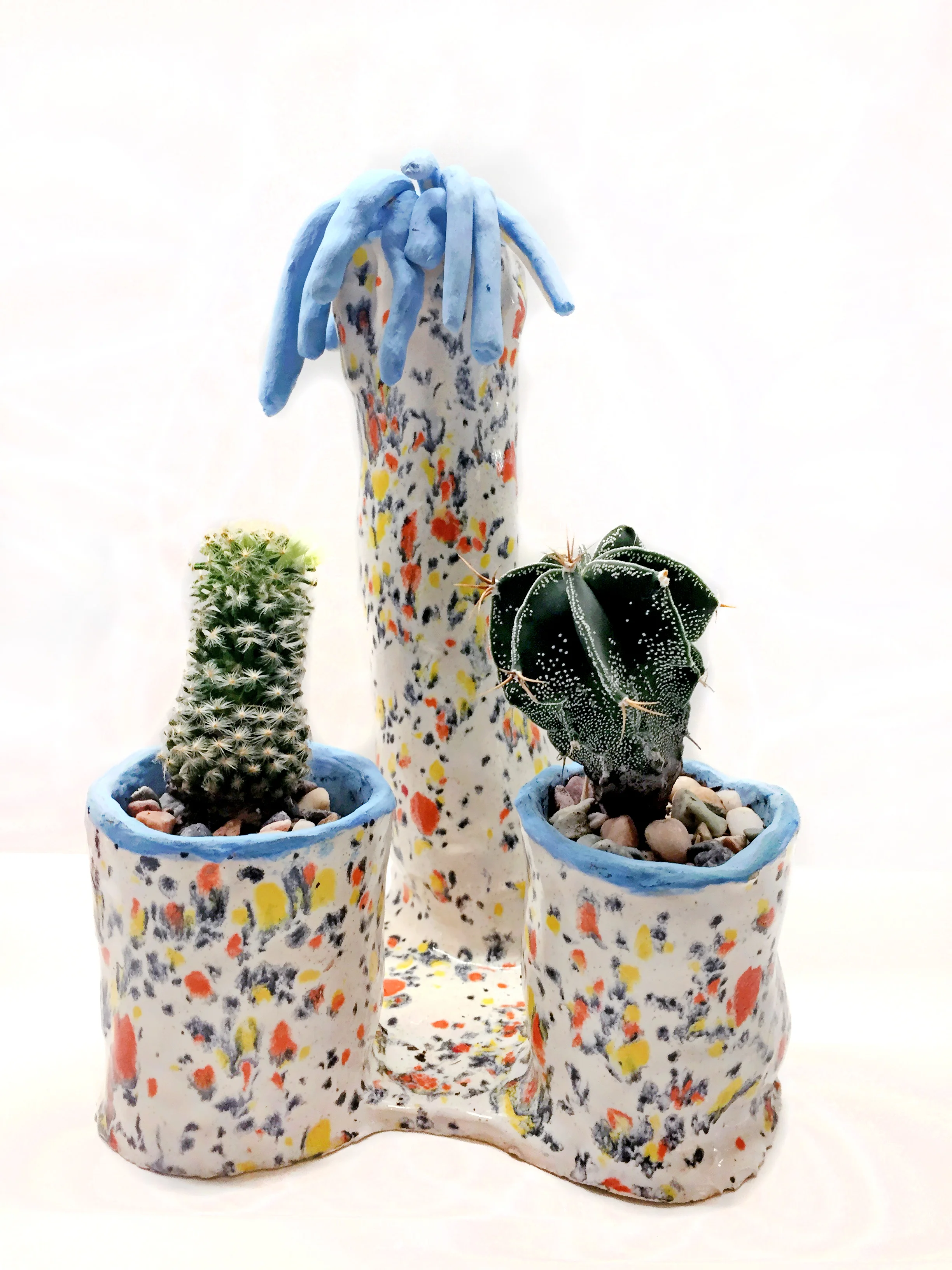 Penis_Zoo_Cacti Penis .jpg