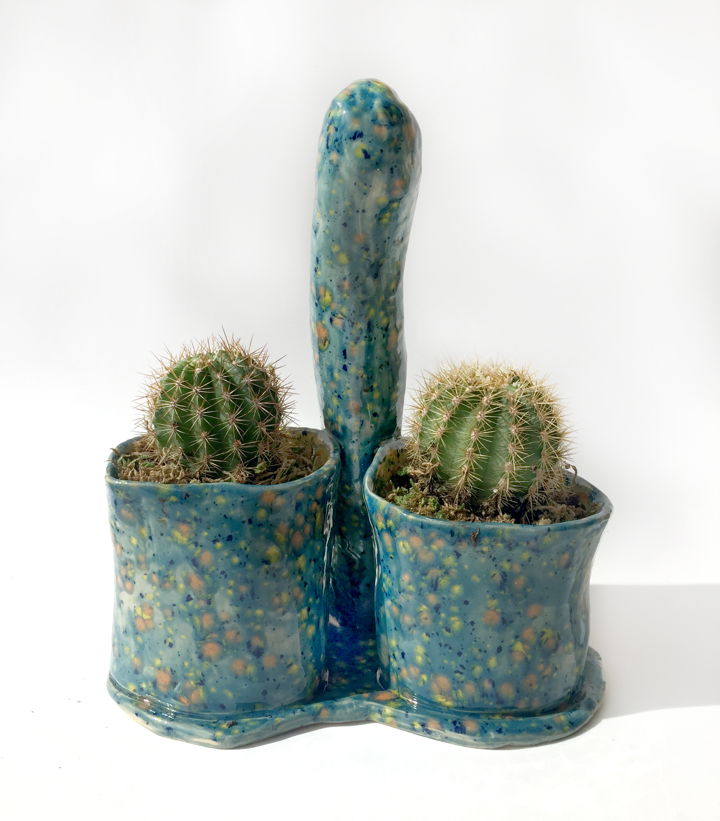 Prick New 1 .jpg