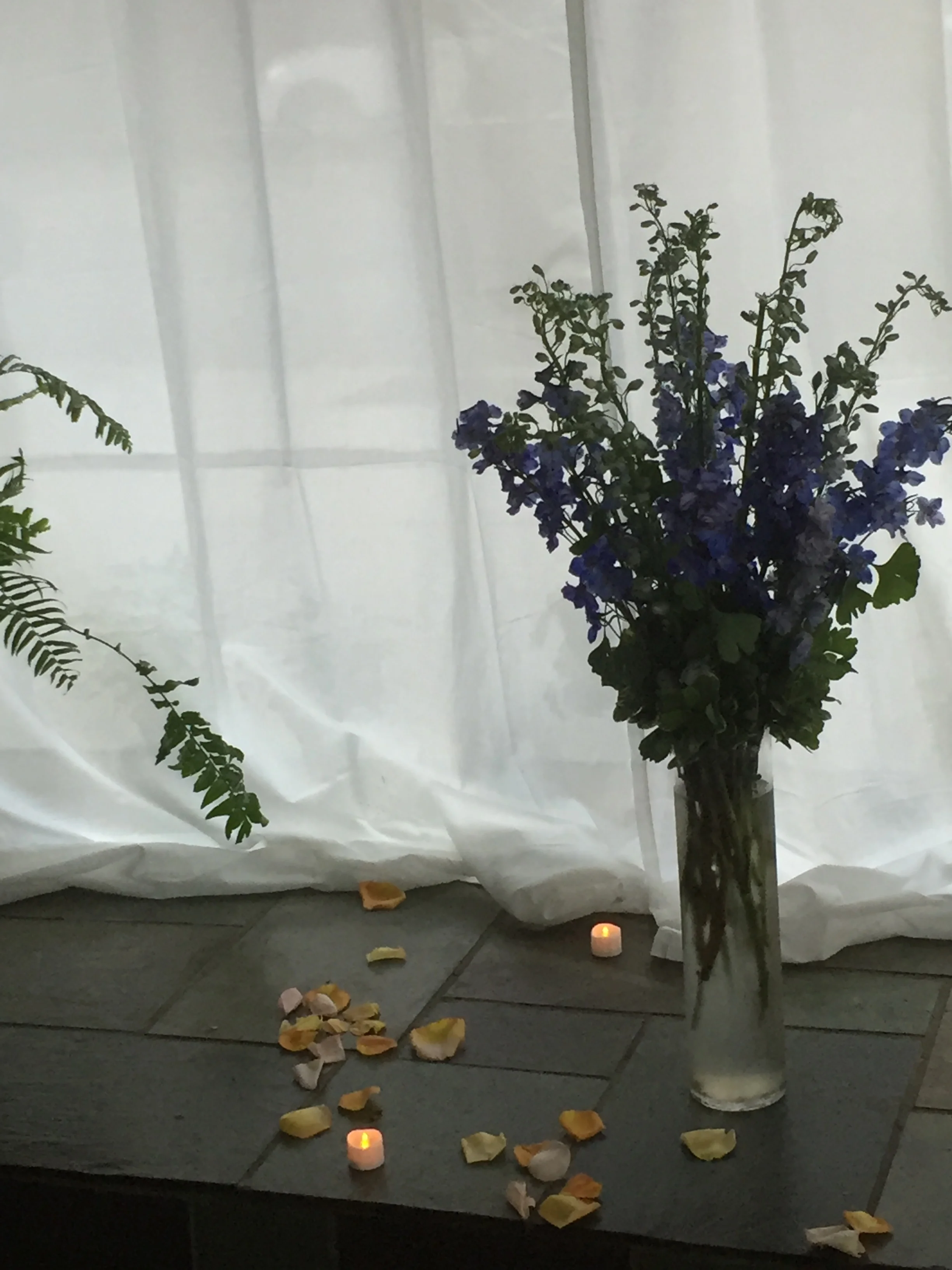 Photo Sep 04, 6 02 58 PM.jpg