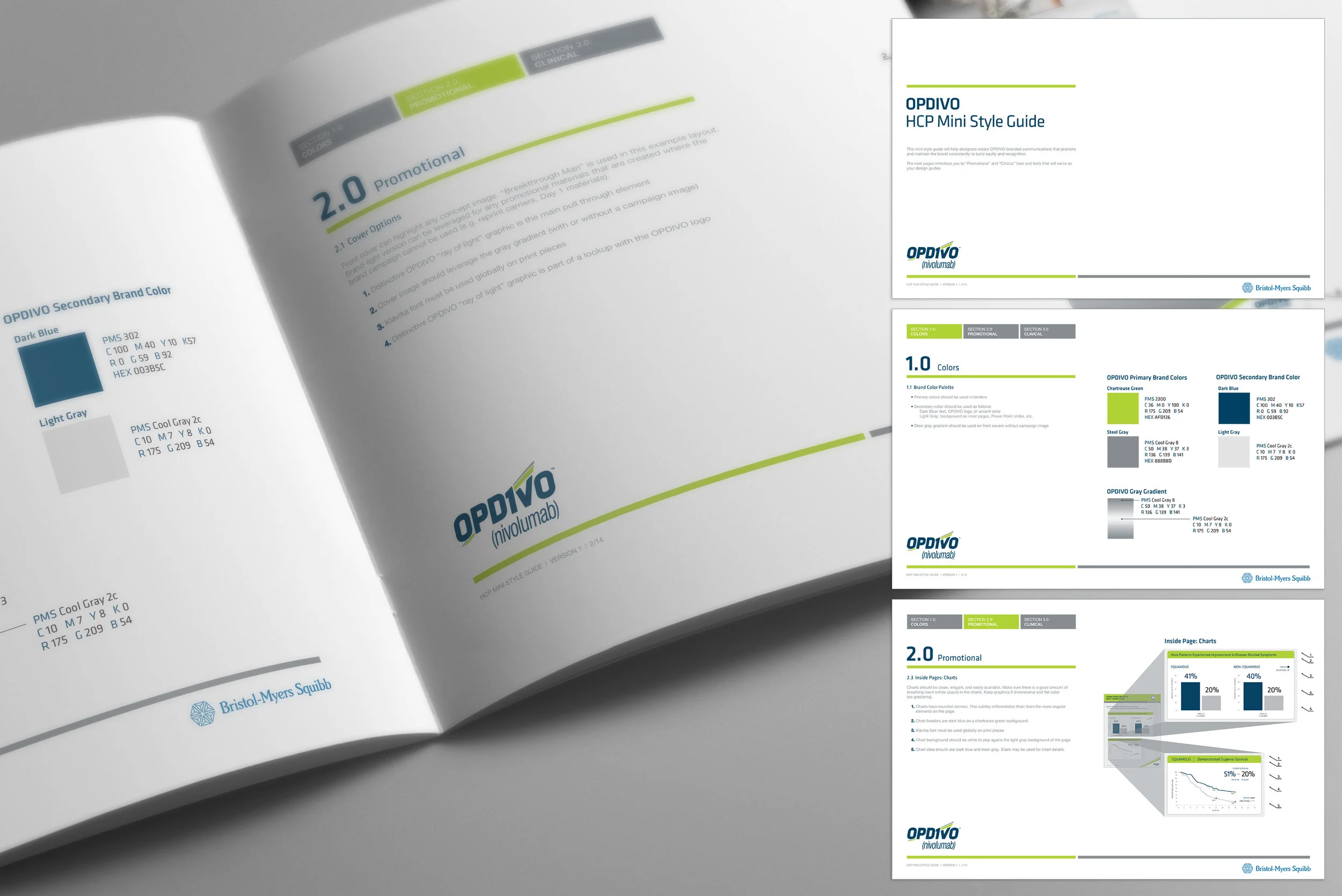 Opdivo (Nivolumab): Uses in Cancer, Side Effects, Dosages, Expectations,  and More - OncoDaily, image size:2500x1669