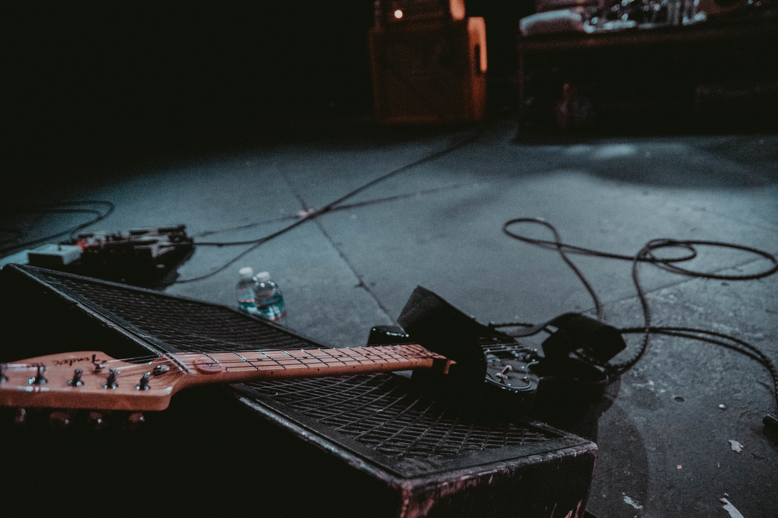 moose blood 7.jpg