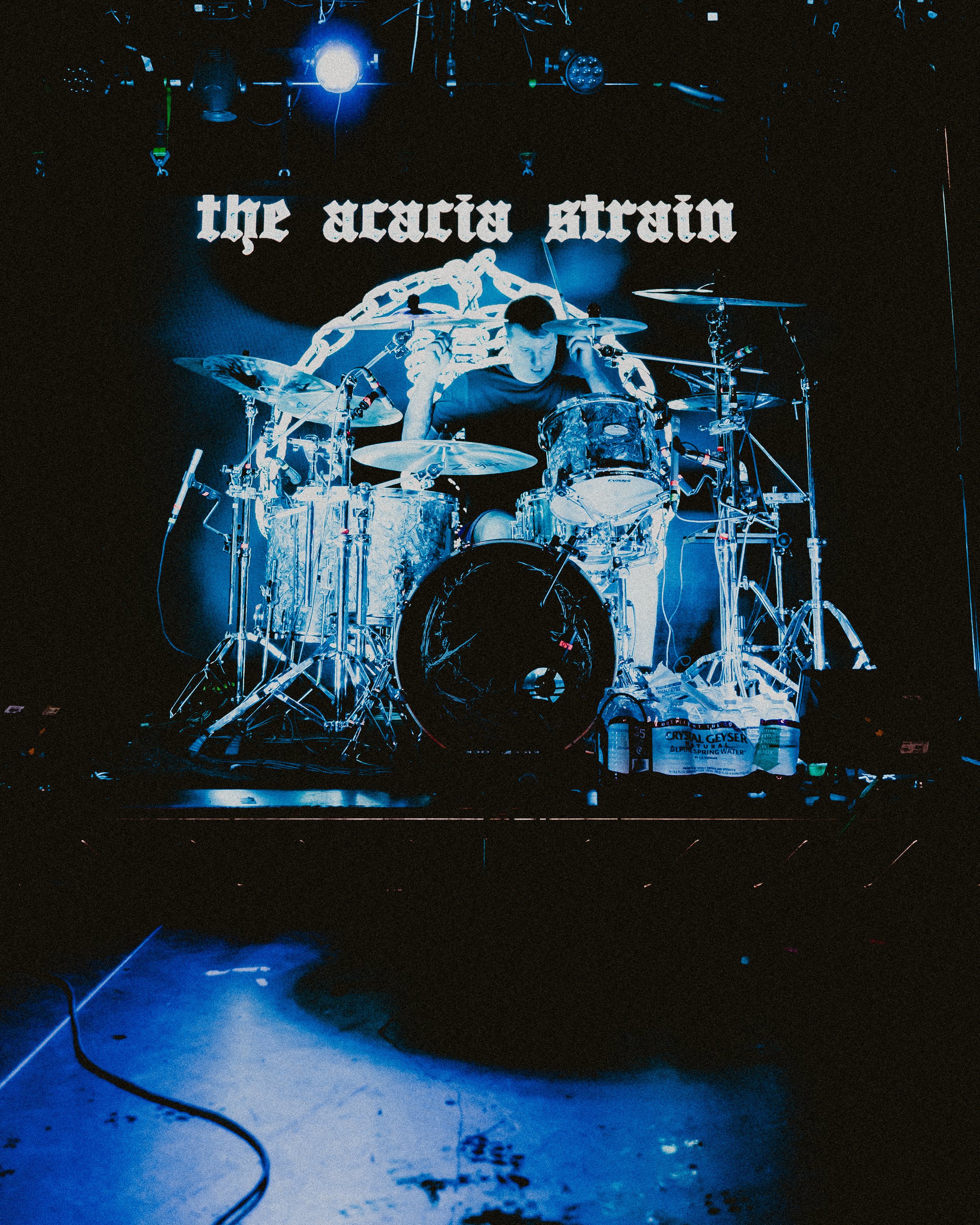 Acacia Strain by Adriana Torres 06.jpg