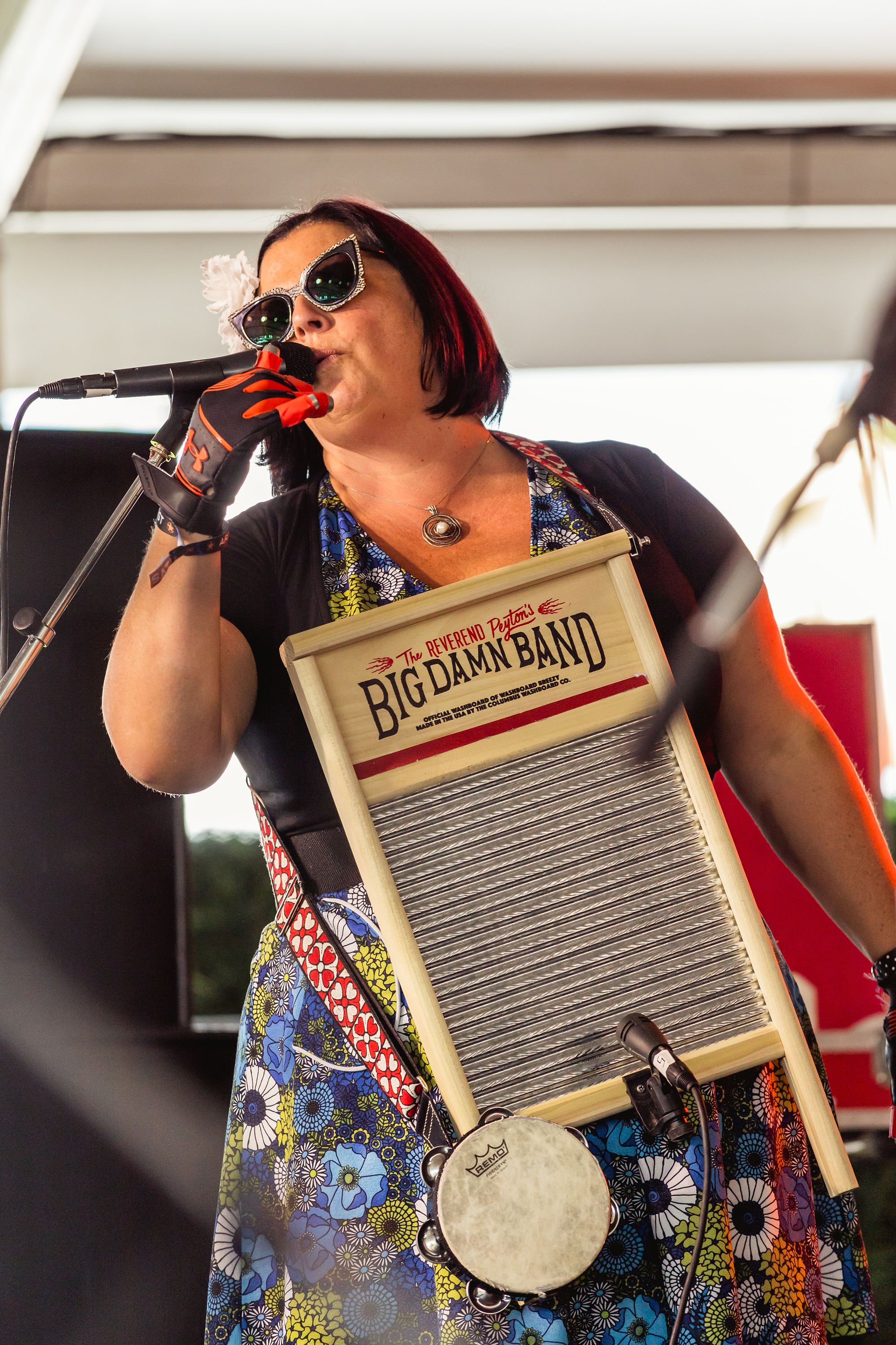 TheReverendPeytonsBigDamnBand-4.jpg