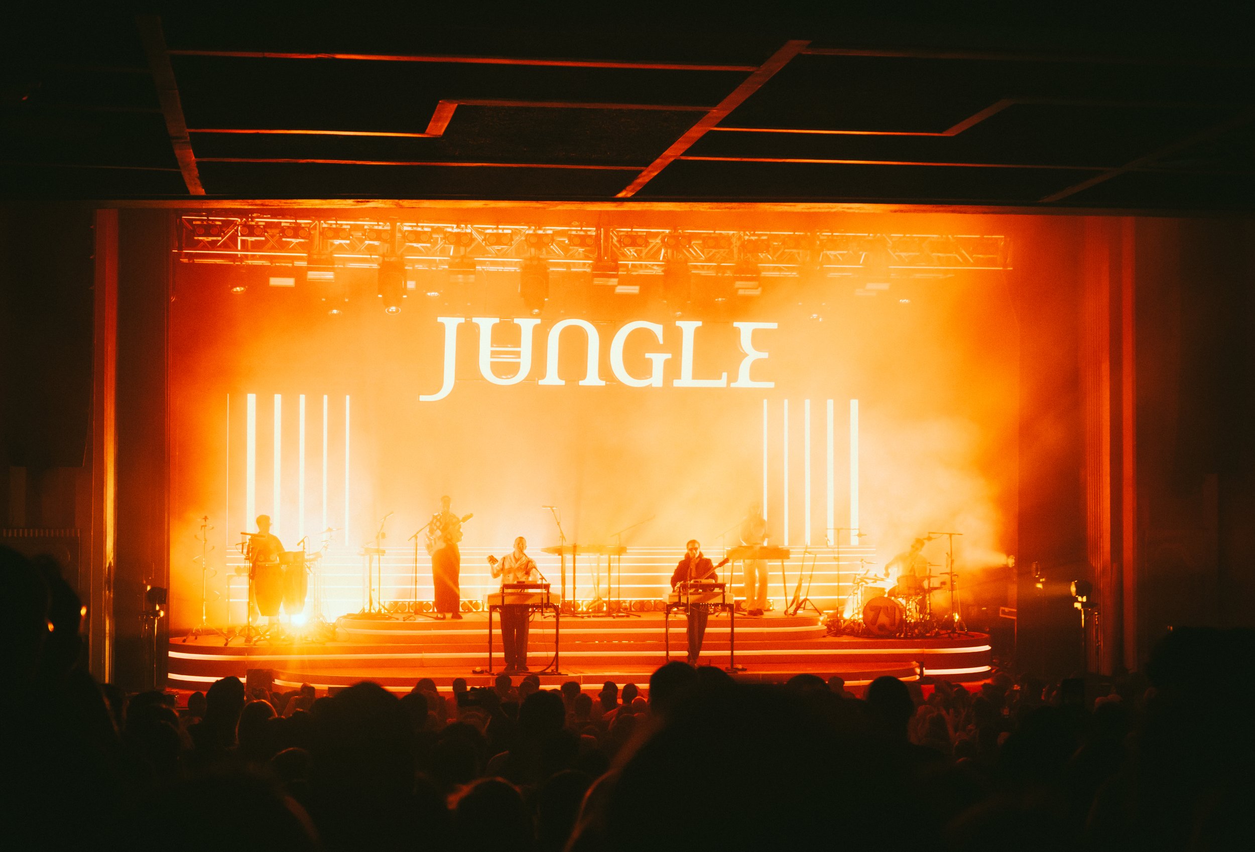 Jungle-11.jpg