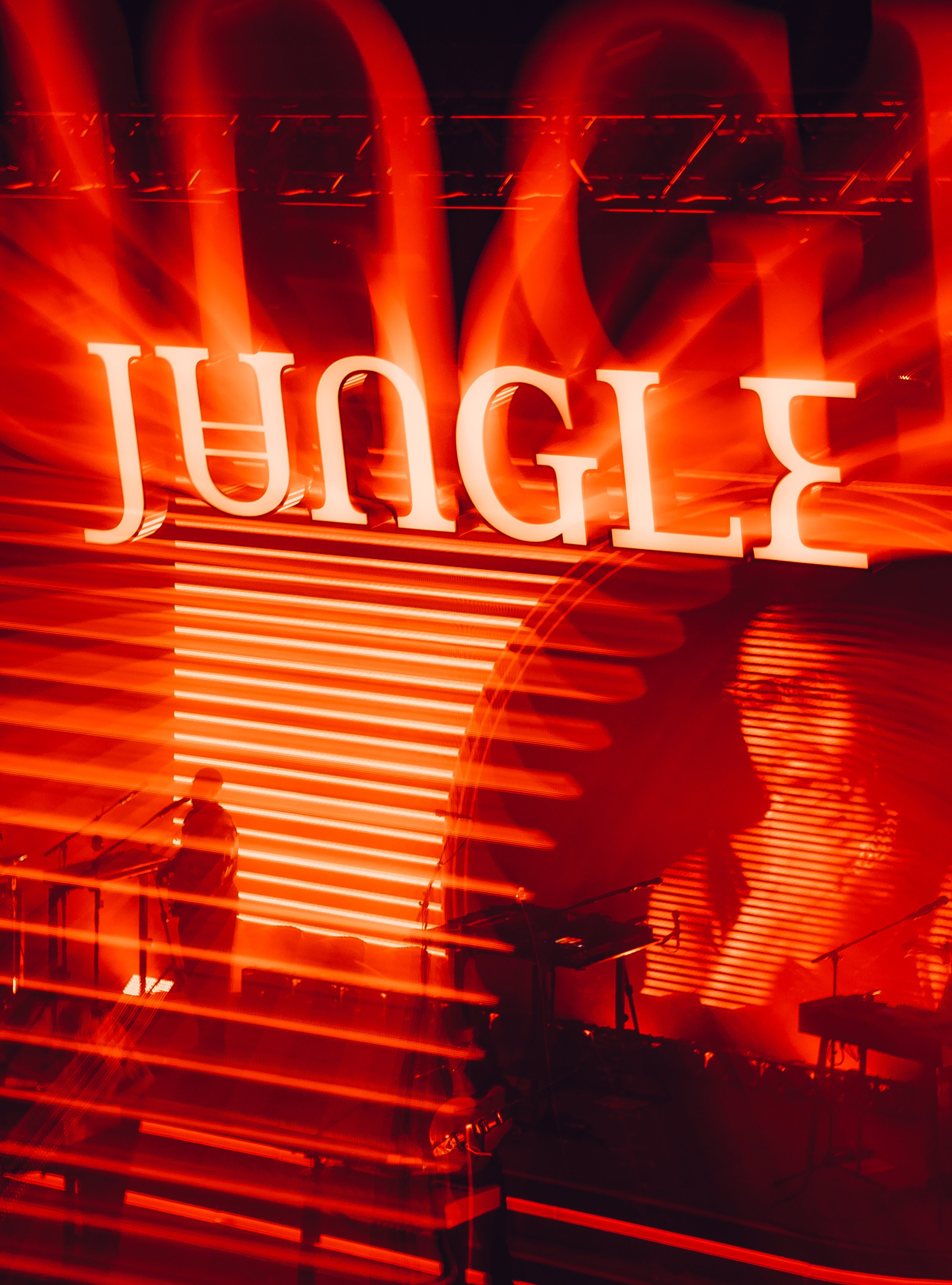 Jungle-14.jpg
