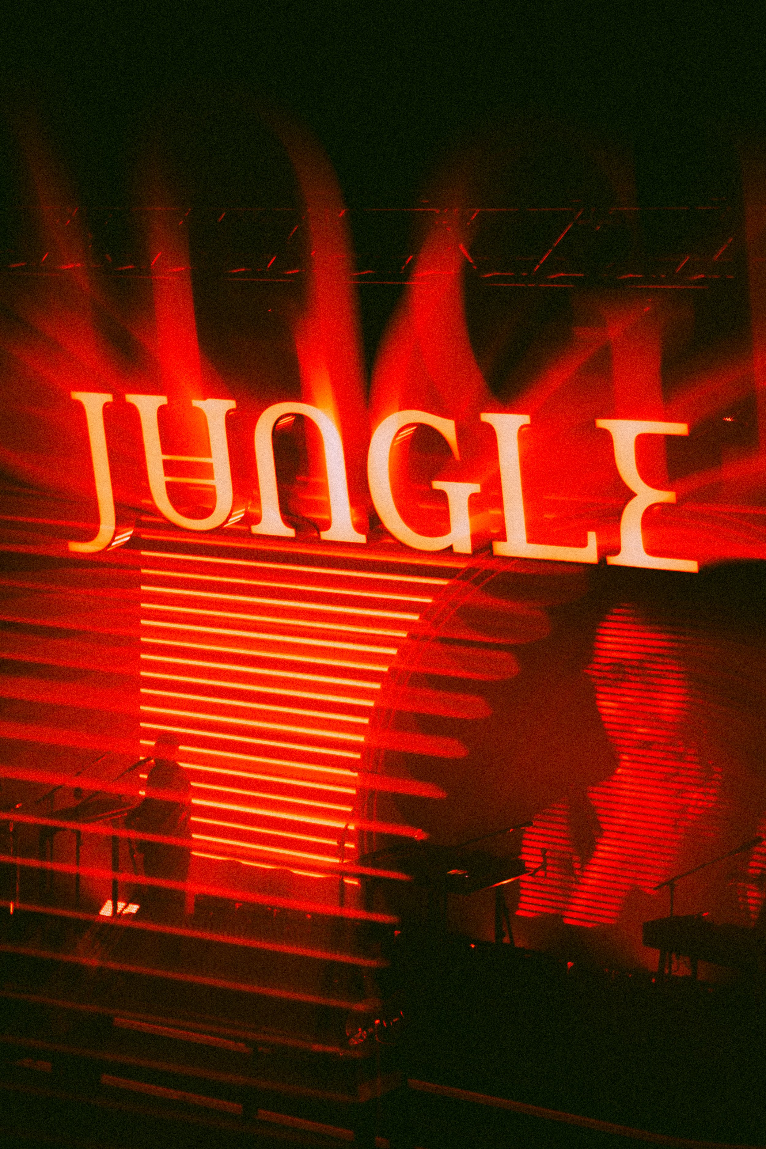Jungle-13.jpg
