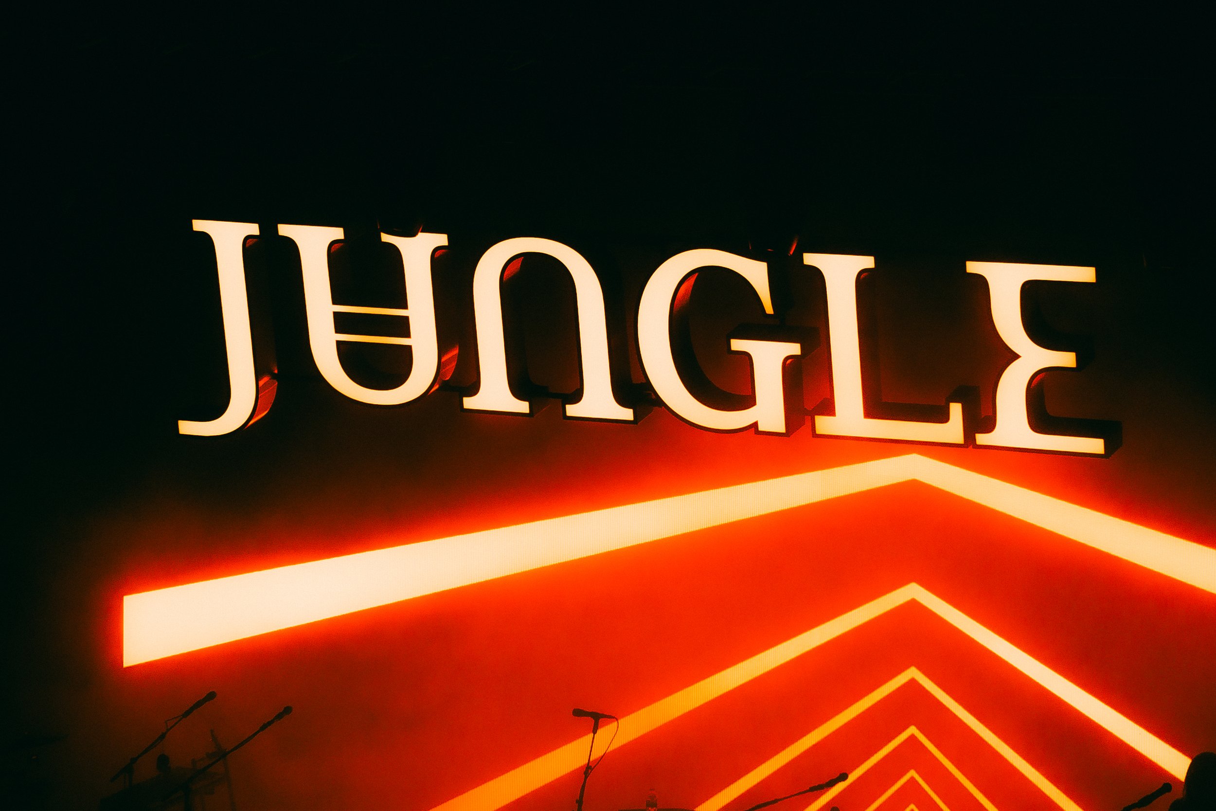 Jungle-16.jpg
