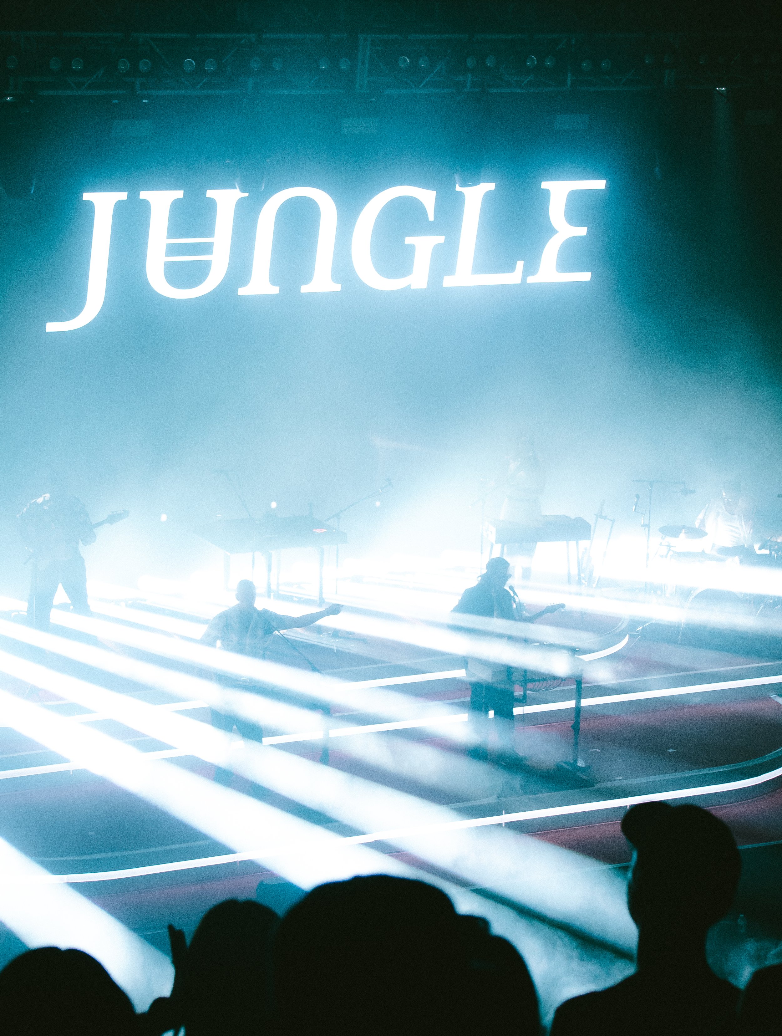 Jungle-17.jpg