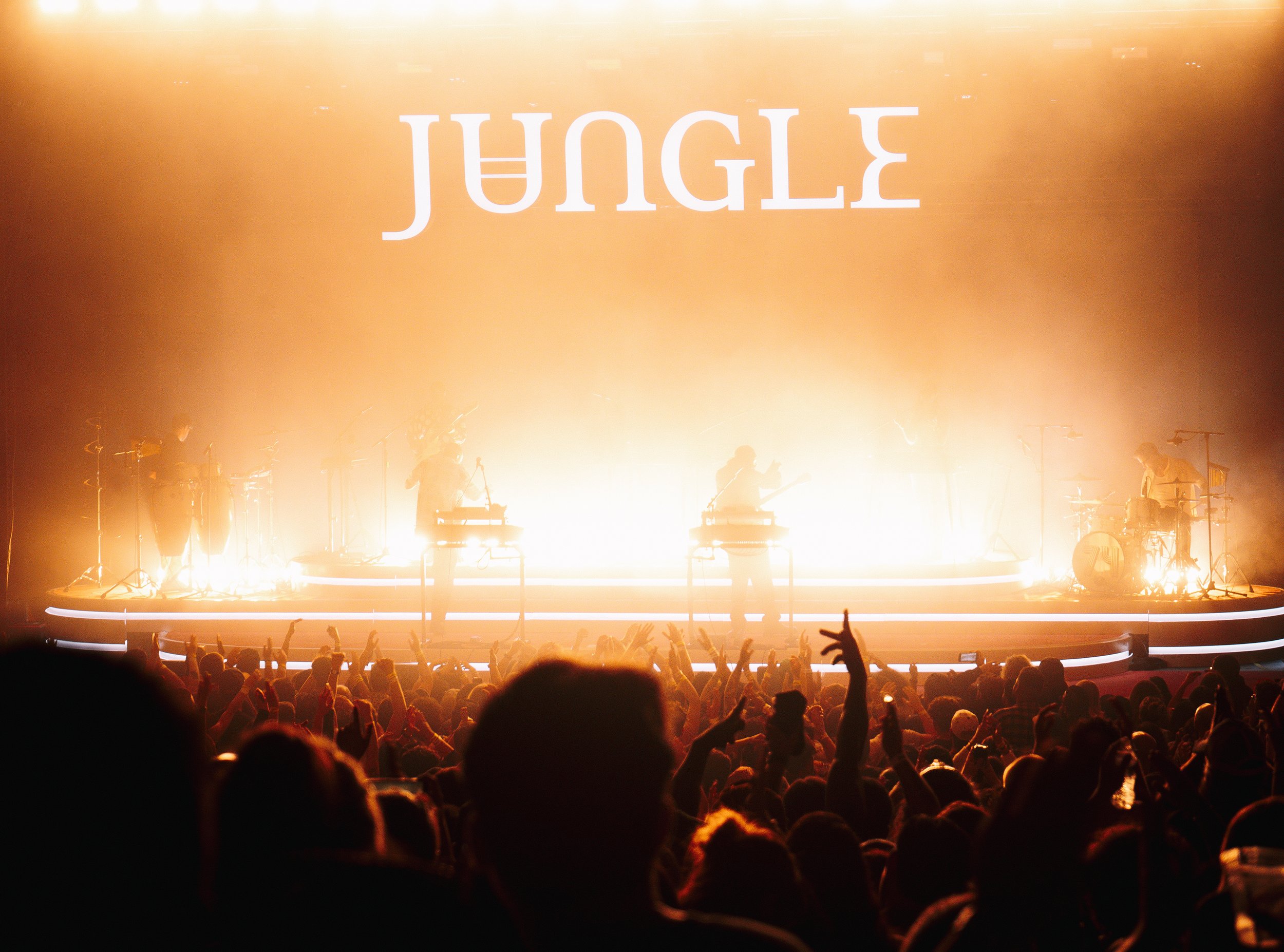 Jungle-24.jpg