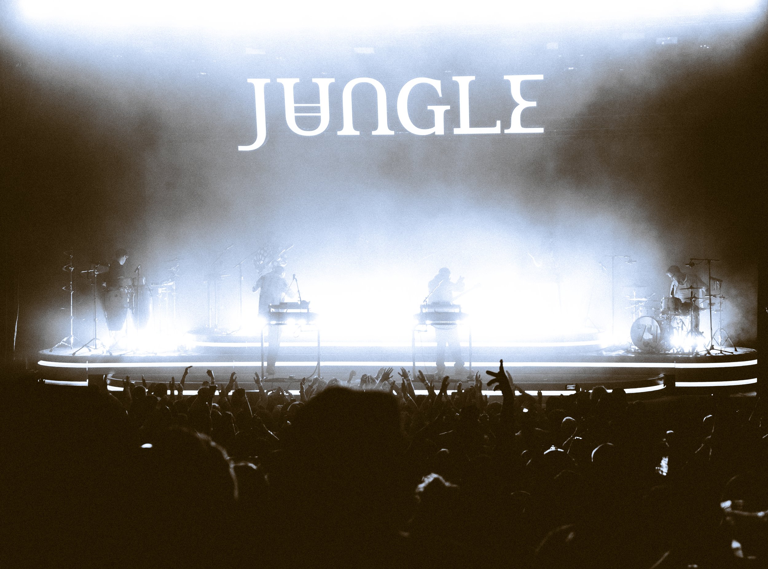 Jungle-25.jpg
