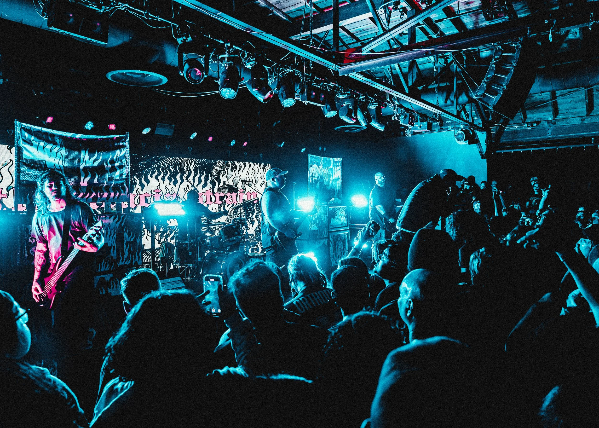 12 Acacia Strain by Adriana Torres.jpg