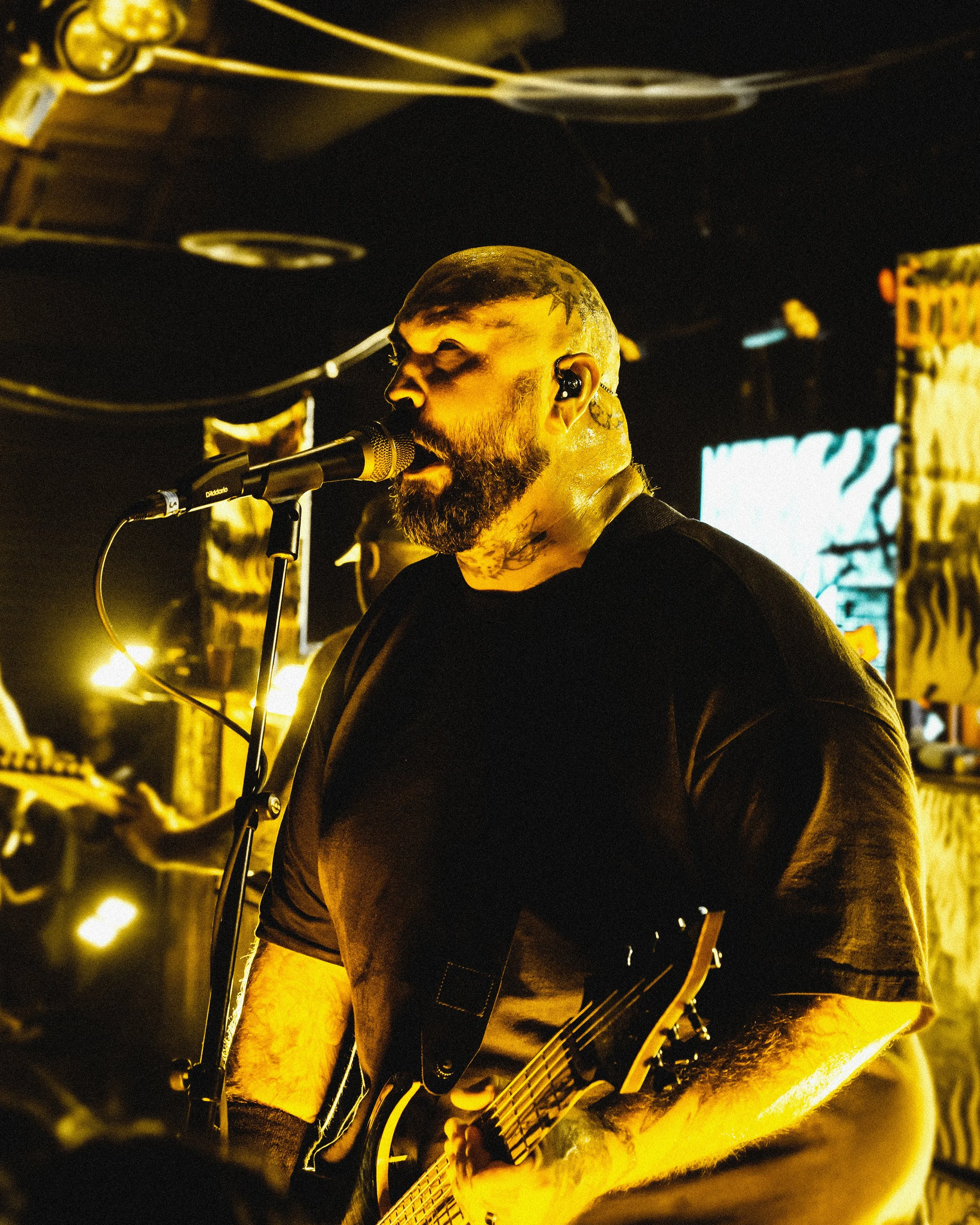 19 Acacia Strain by Adriana Torres.jpg