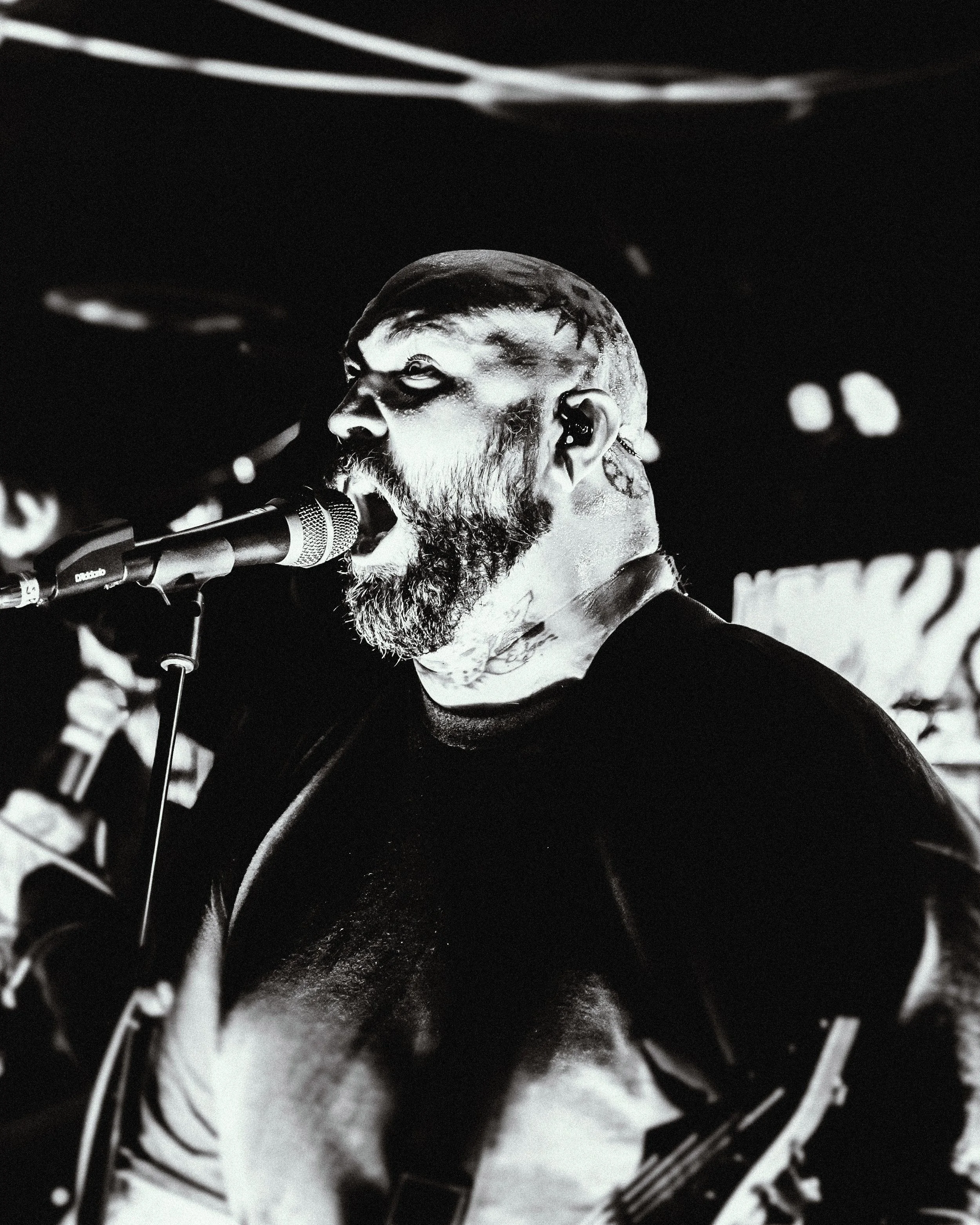 22 Acacia Strain by Adriana Torres.jpg
