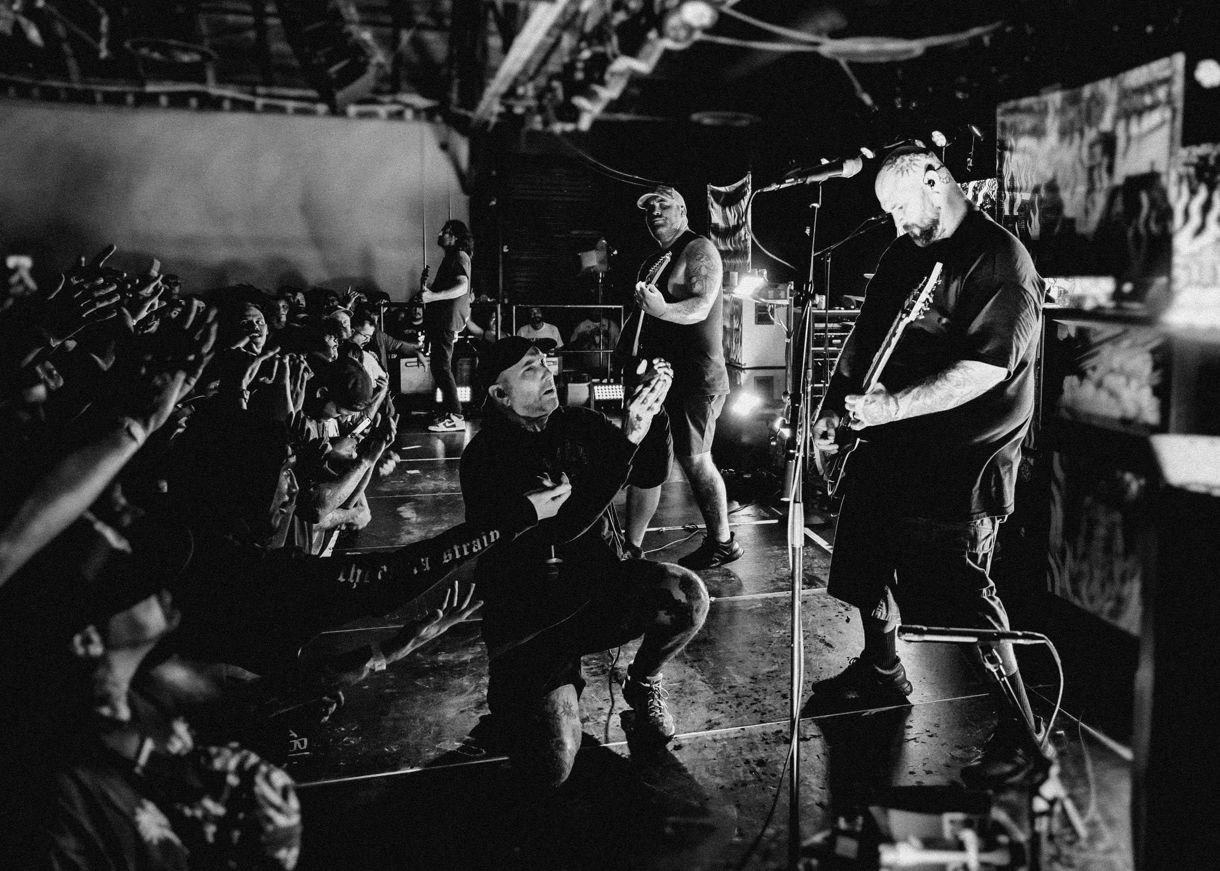 23 Acacia Strain by Adriana Torres.jpg