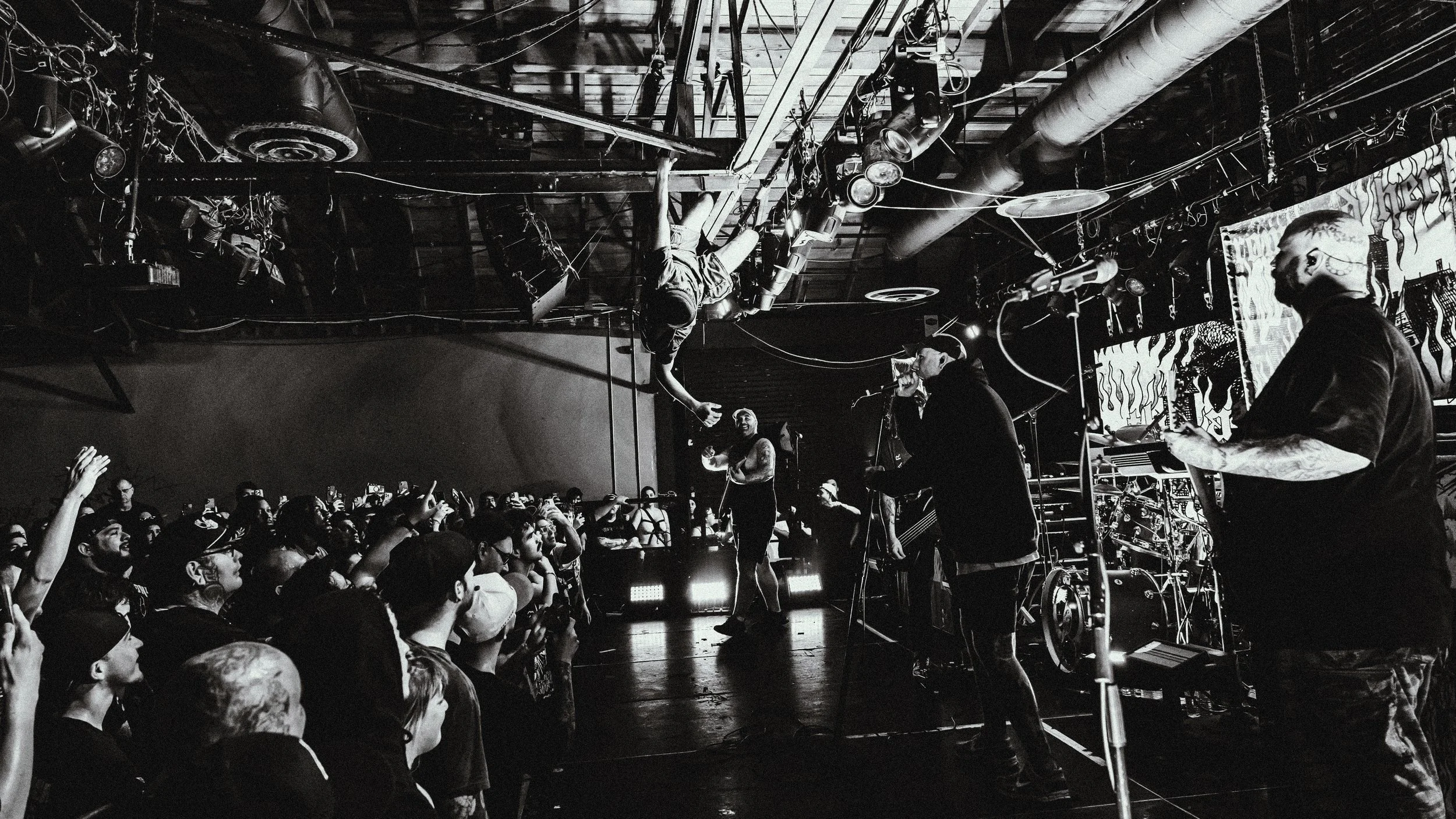 25 Acacia Strain by Adriana Torres.jpg