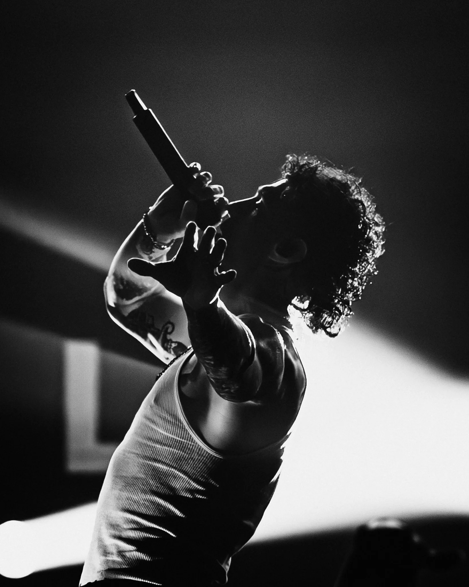 2509023_BLESSTHEFALL_2967.jpg
