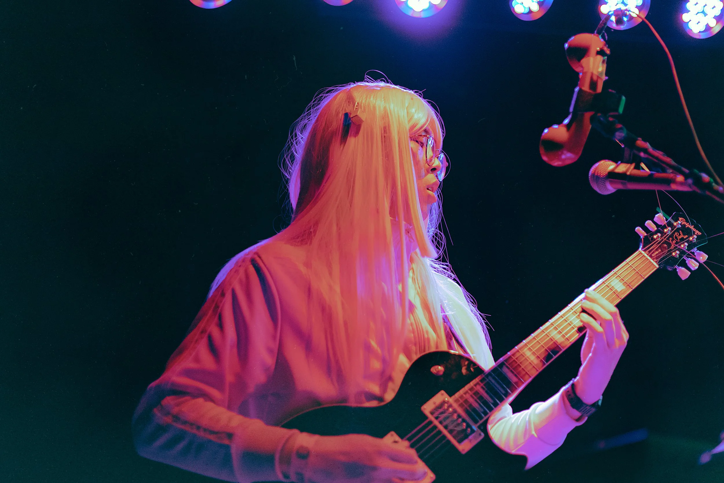 Ginger Root | Santa Ana