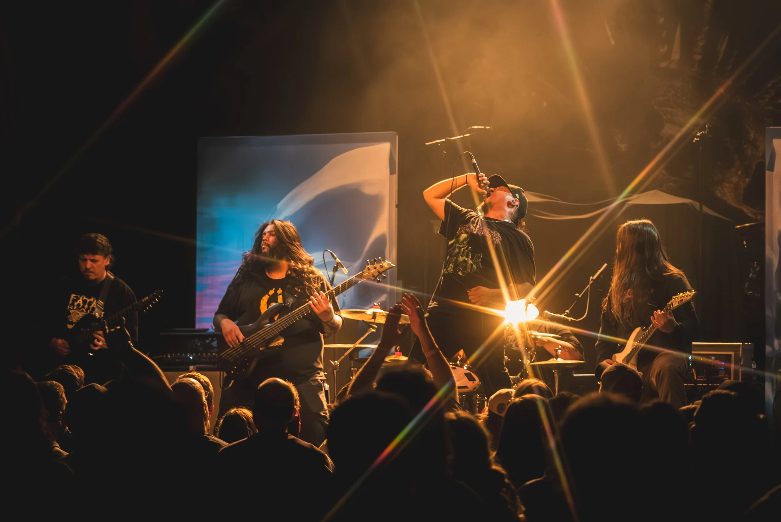 1 - Life Cycles (1).jpg