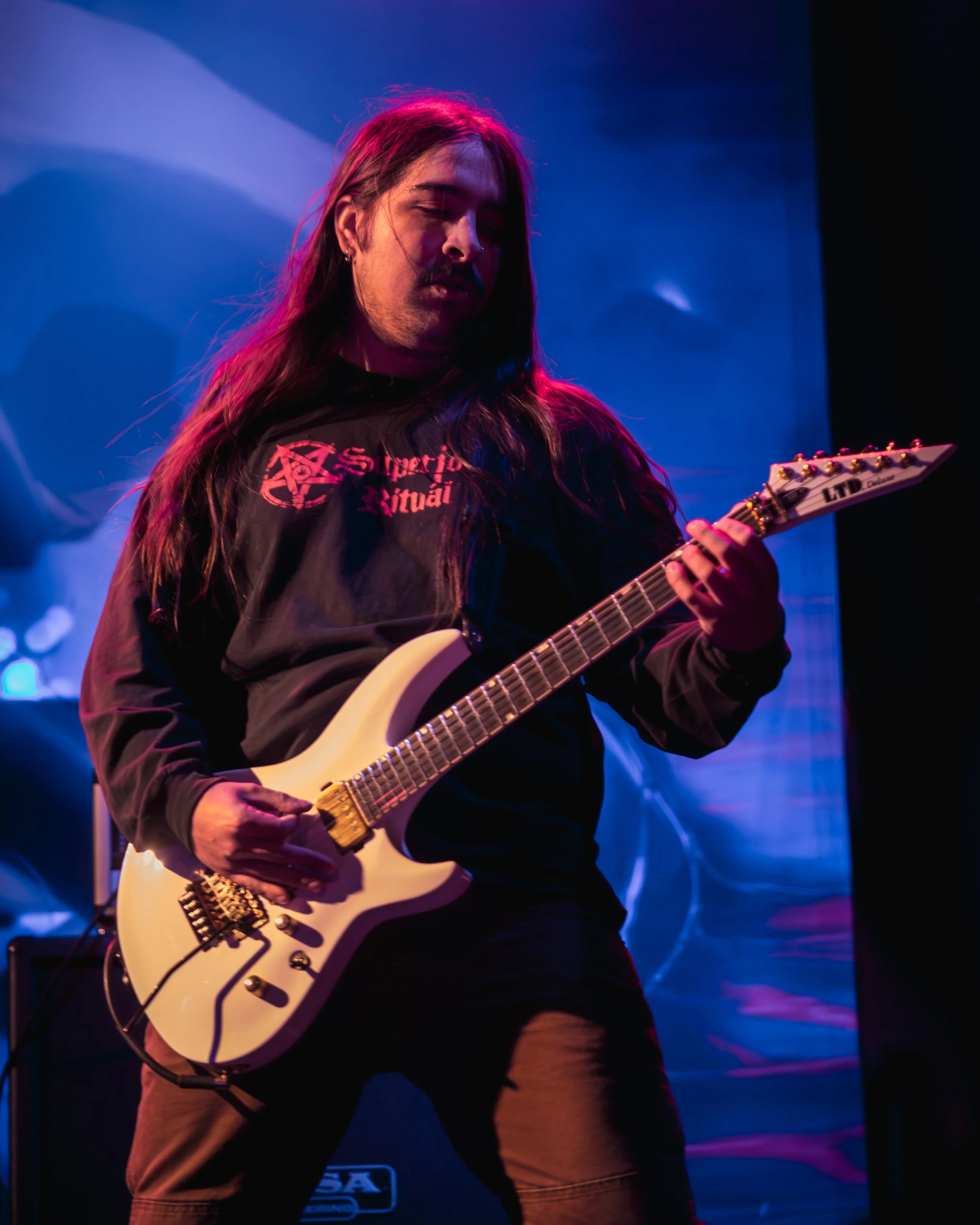 1 - Life Cycles (3).jpg