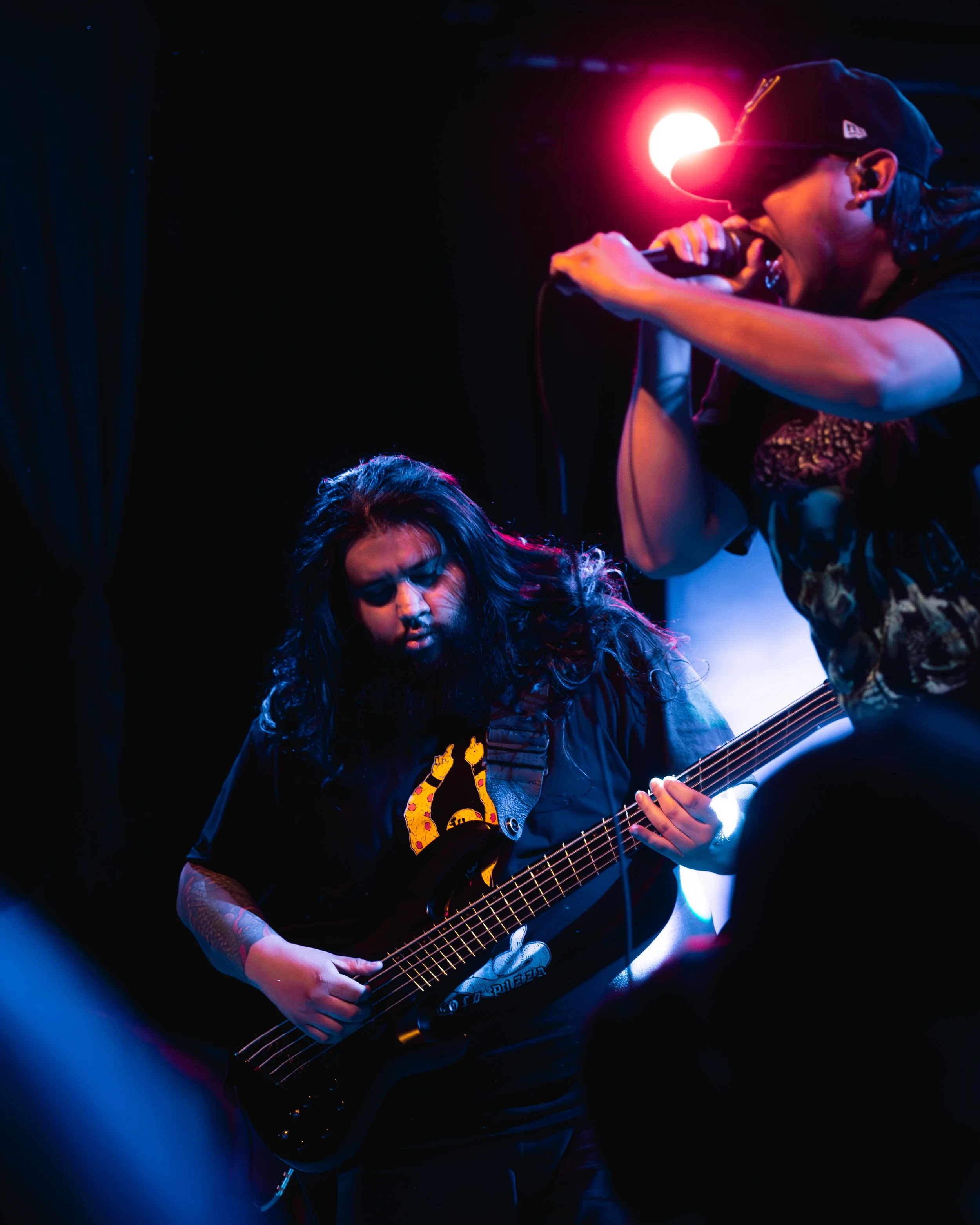 1 - Life Cycles (5).jpg