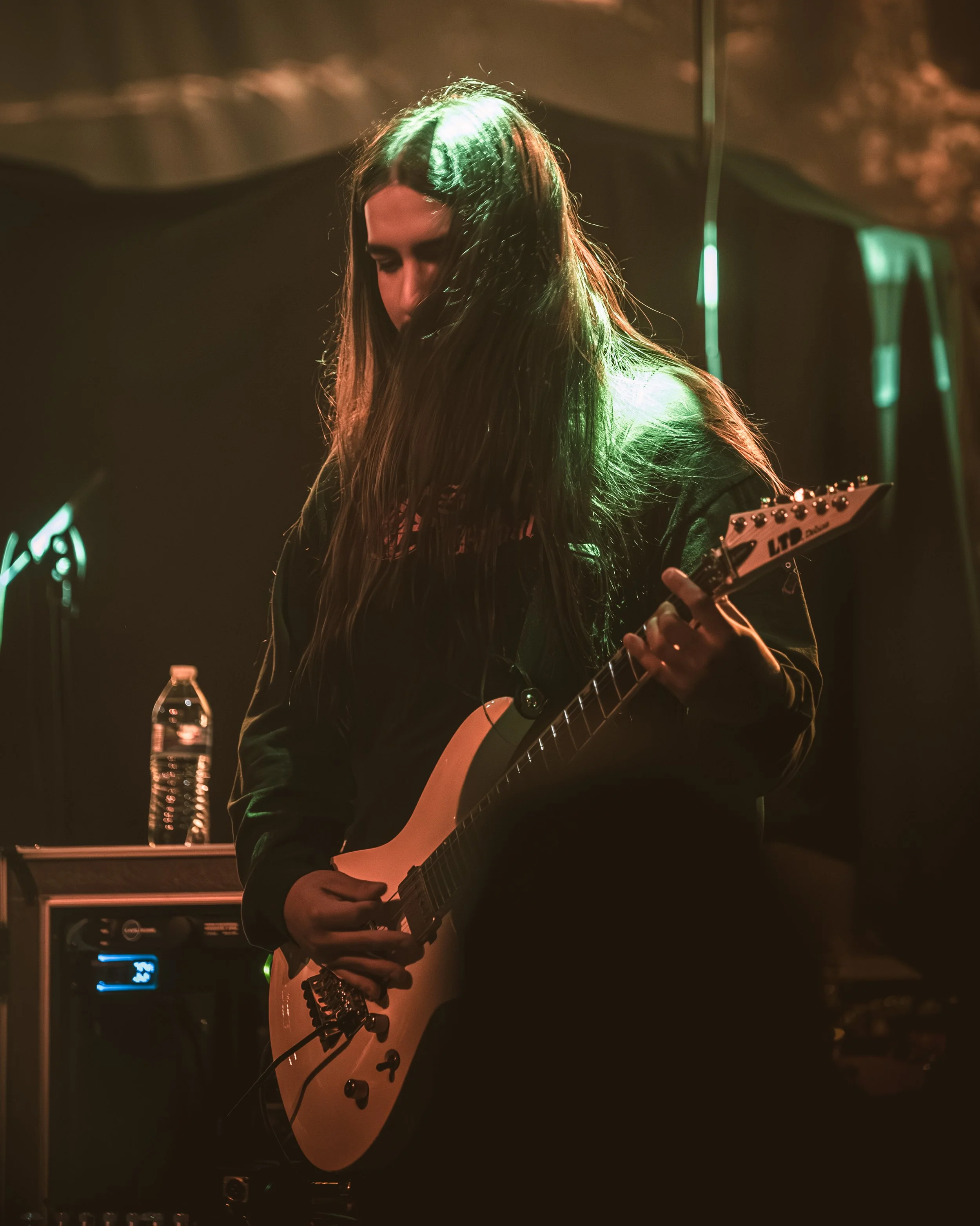 1 - Life Cycles (9).jpg