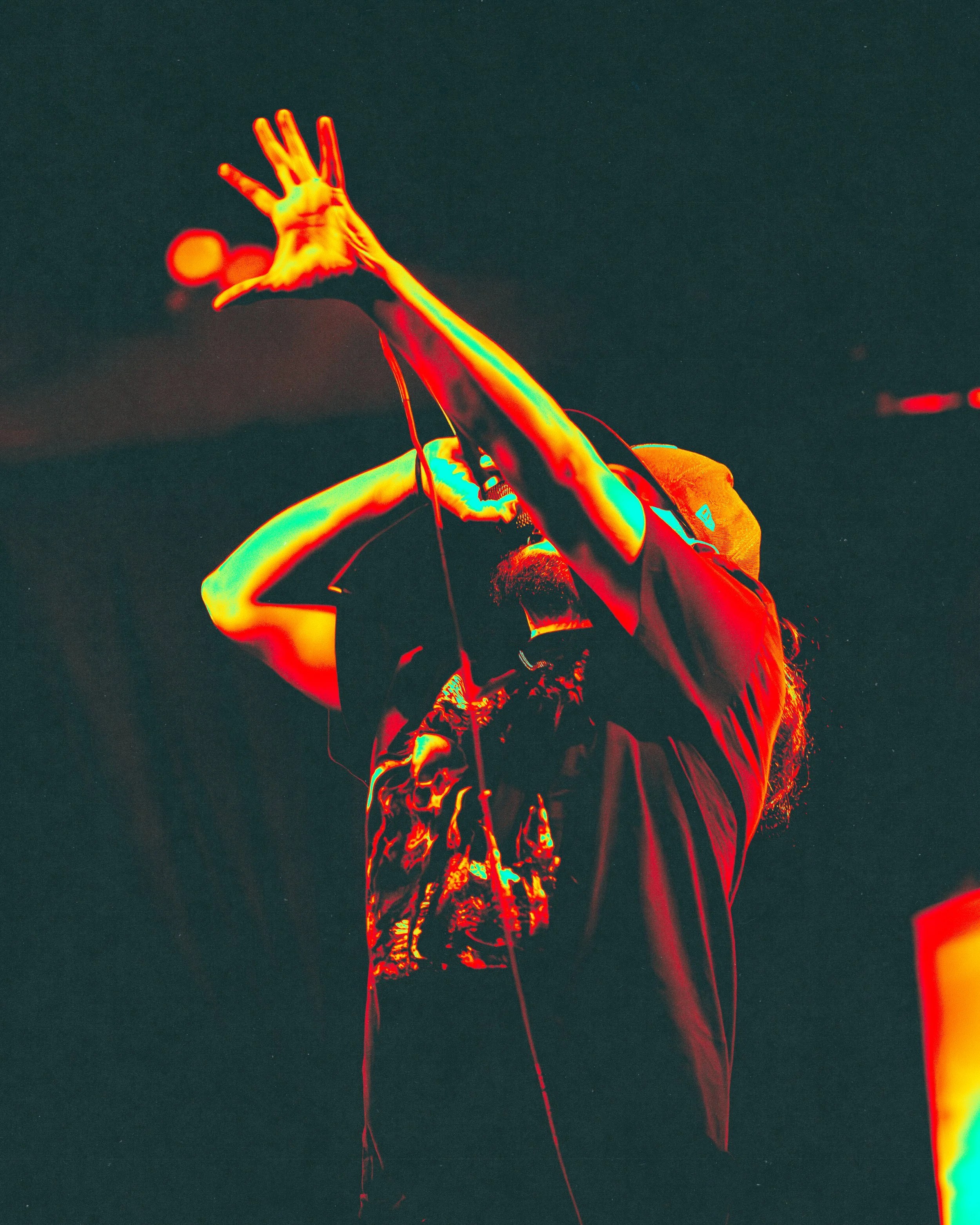 1 - Life Cycles (11).jpg