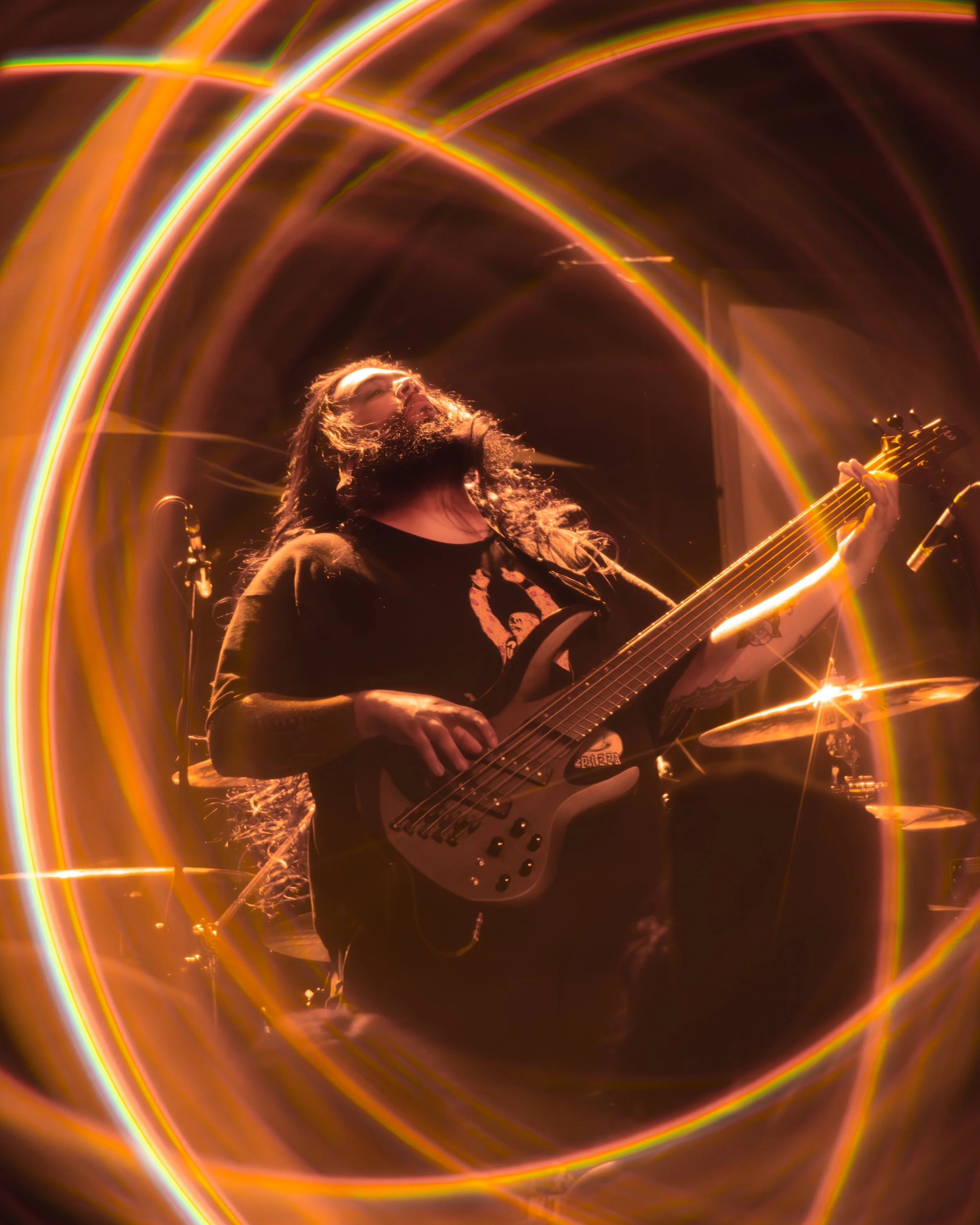 1 - Life Cycles (10).jpg