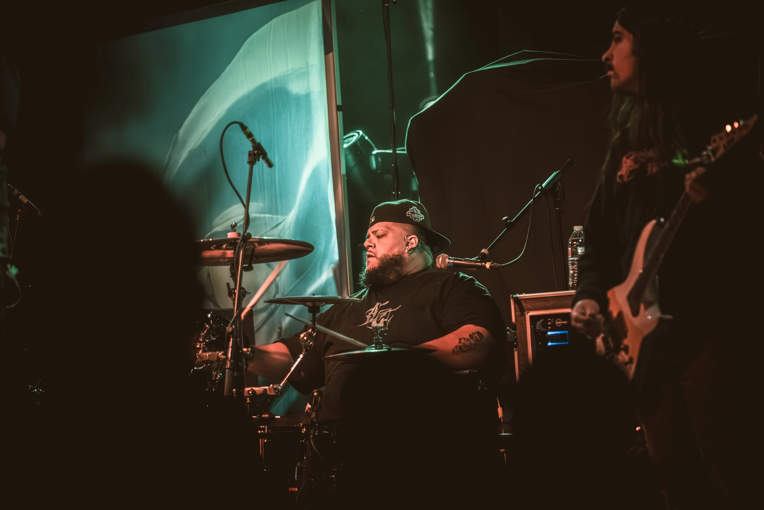 1 - Life Cycles (14).jpg