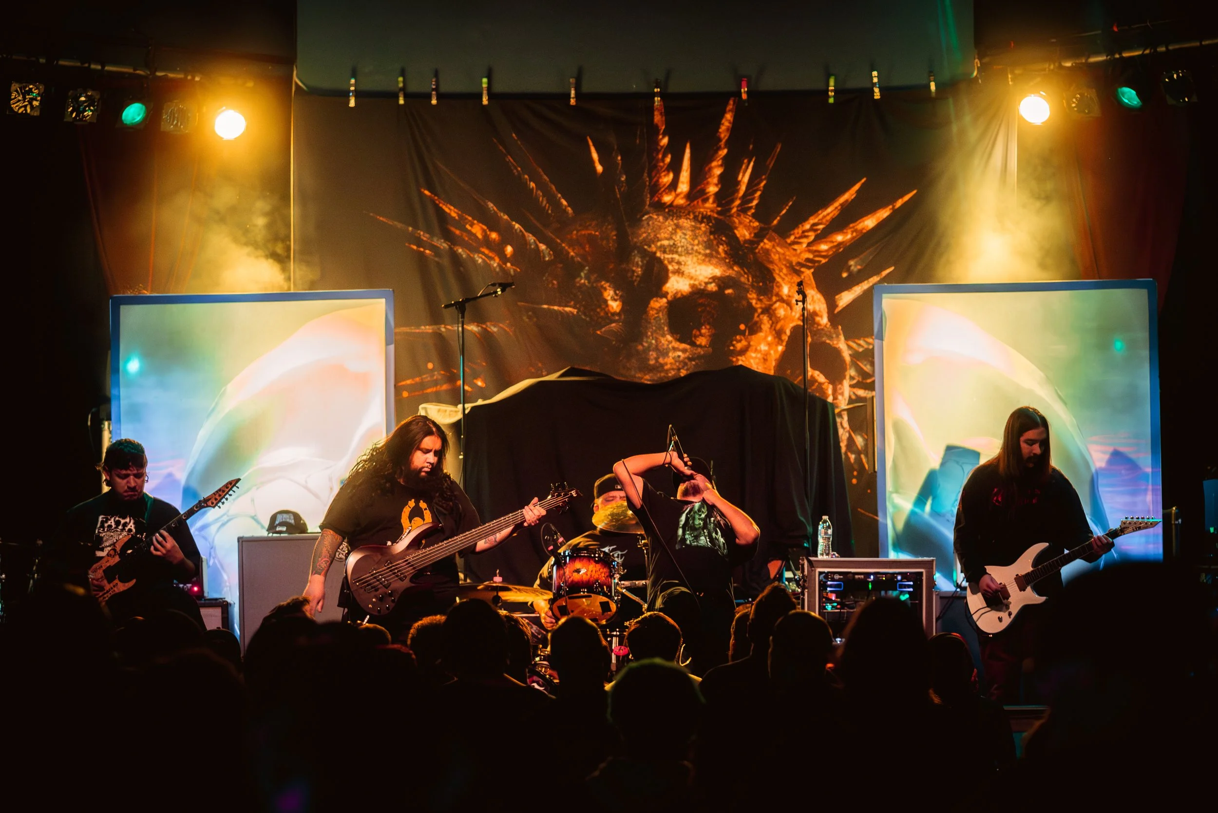 1 - Life Cycles (13).jpg