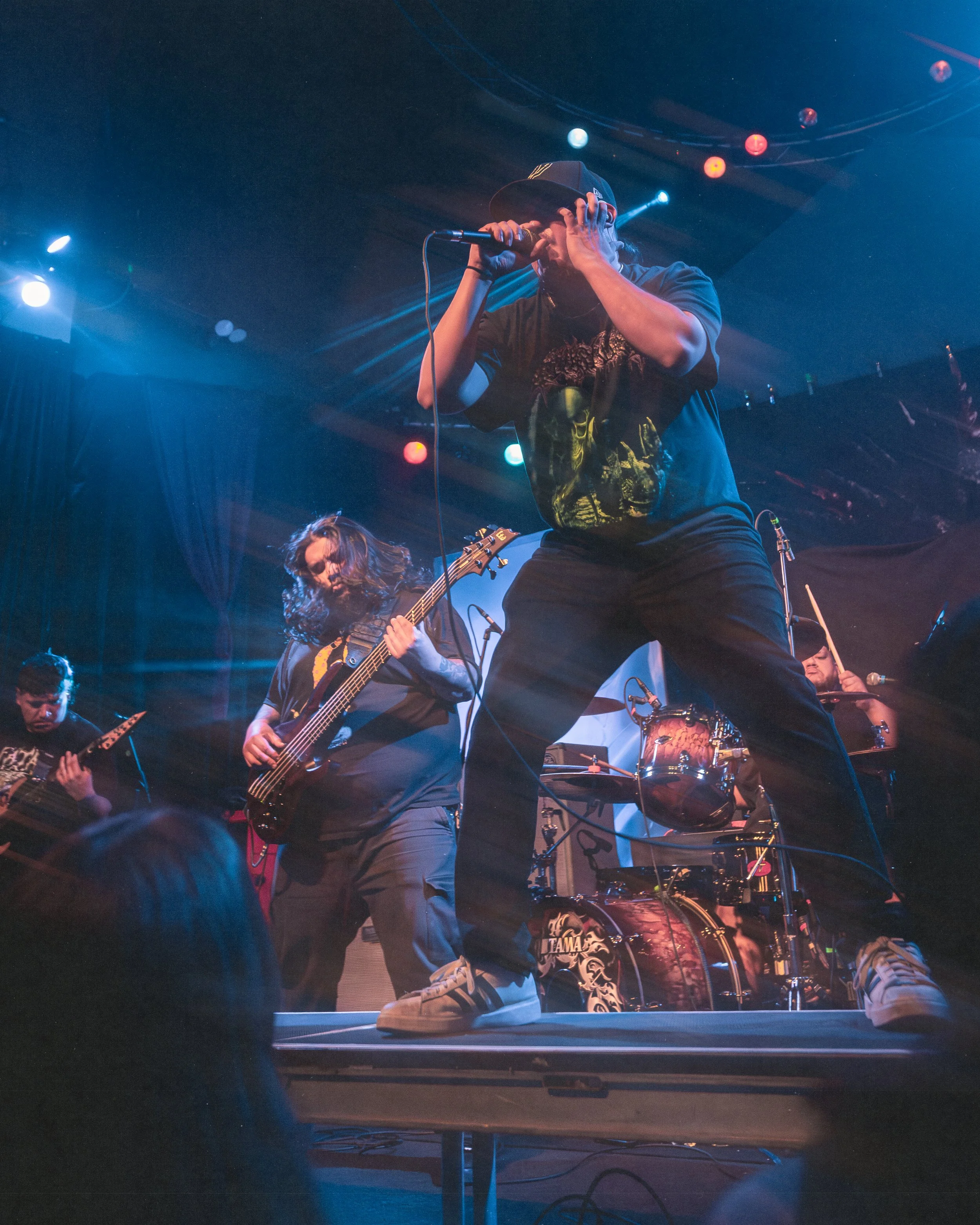 1 - Life Cycles (15).jpg