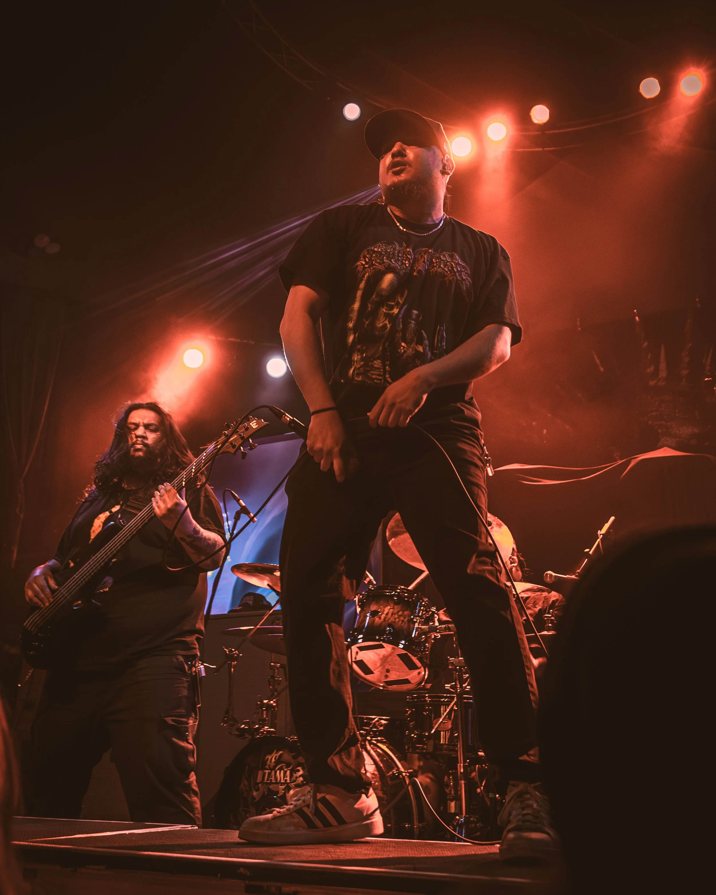 1 - Life Cycles (18).jpg