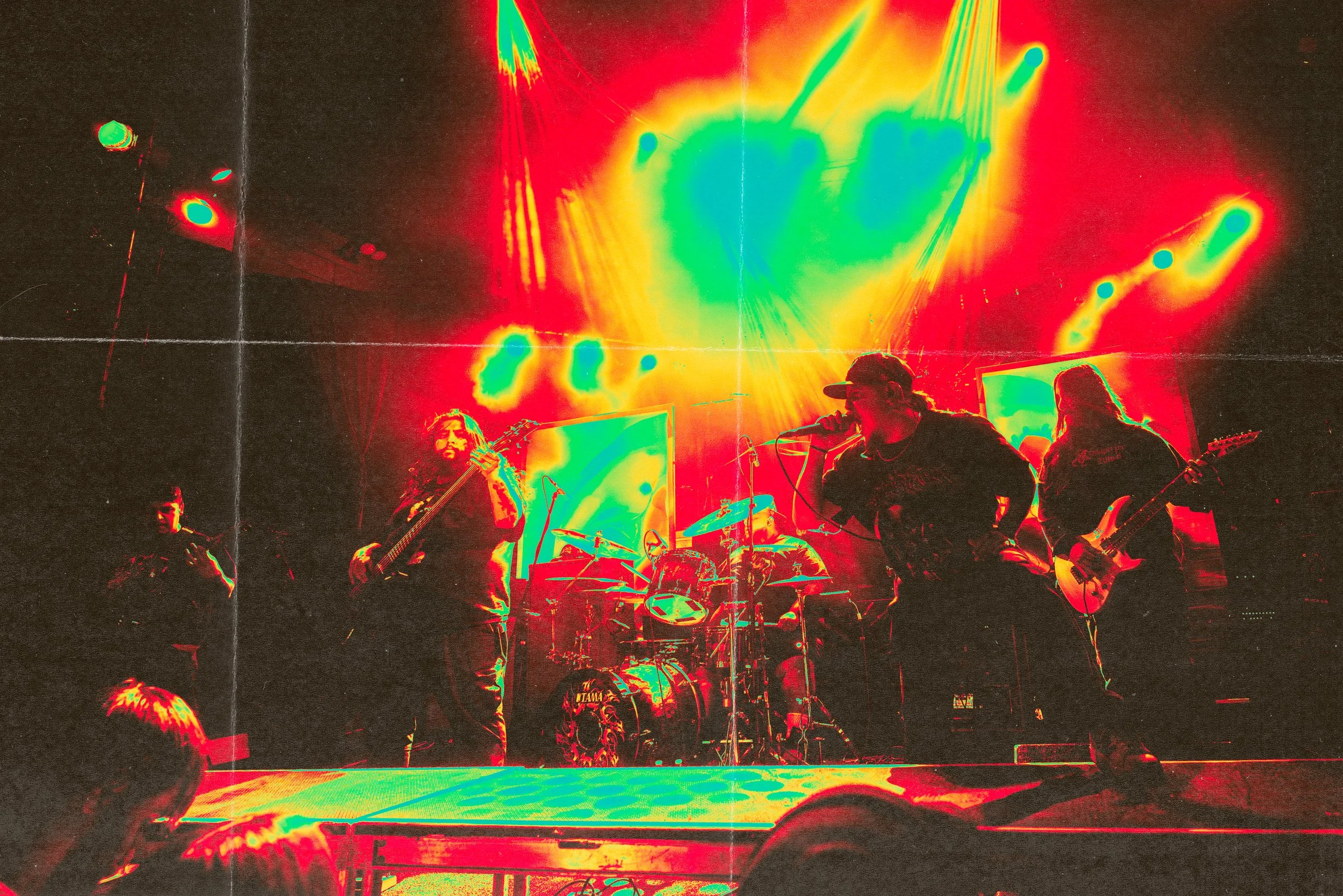 1 - Life Cycles (17).jpg