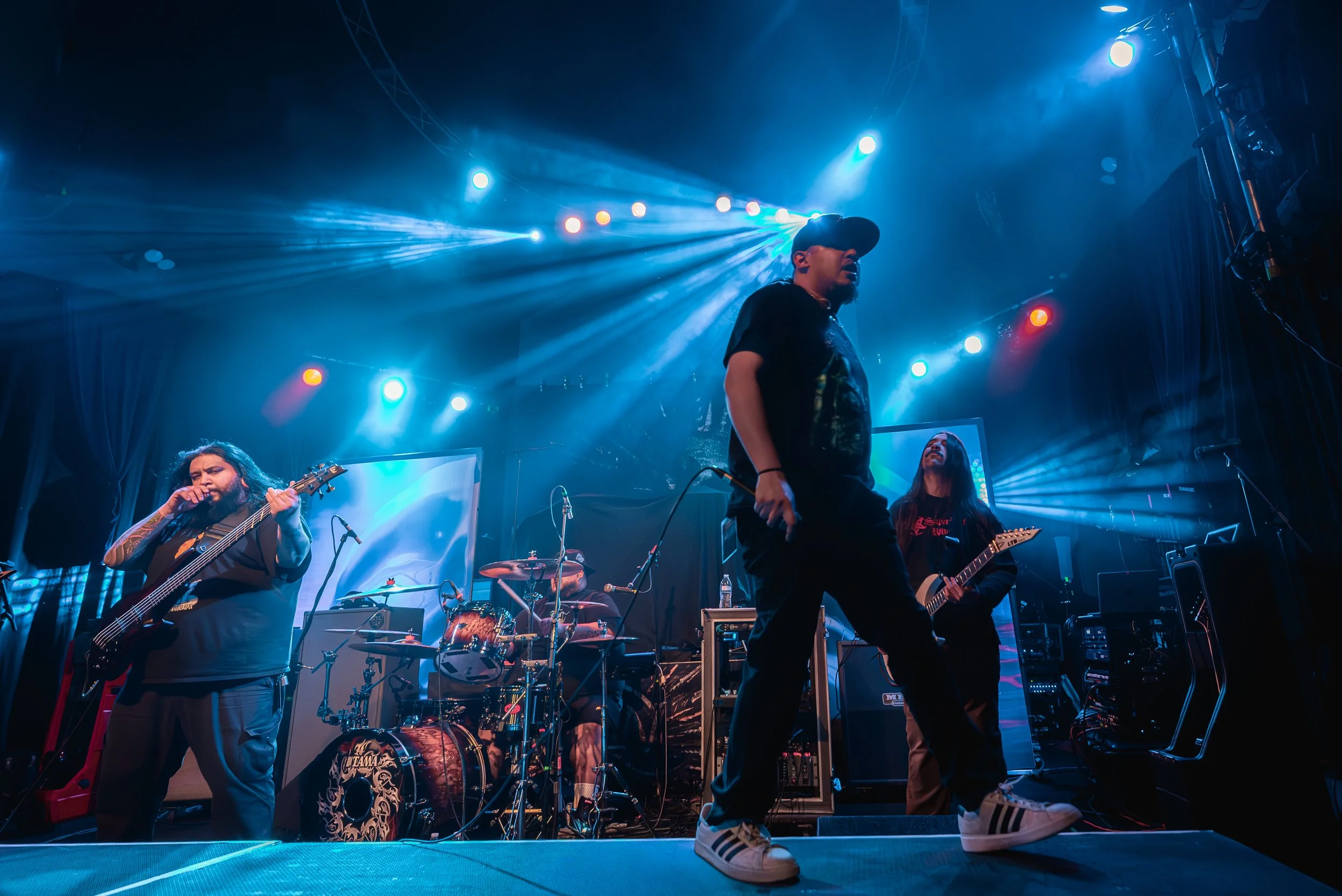 1 - Life Cycles (20).jpg