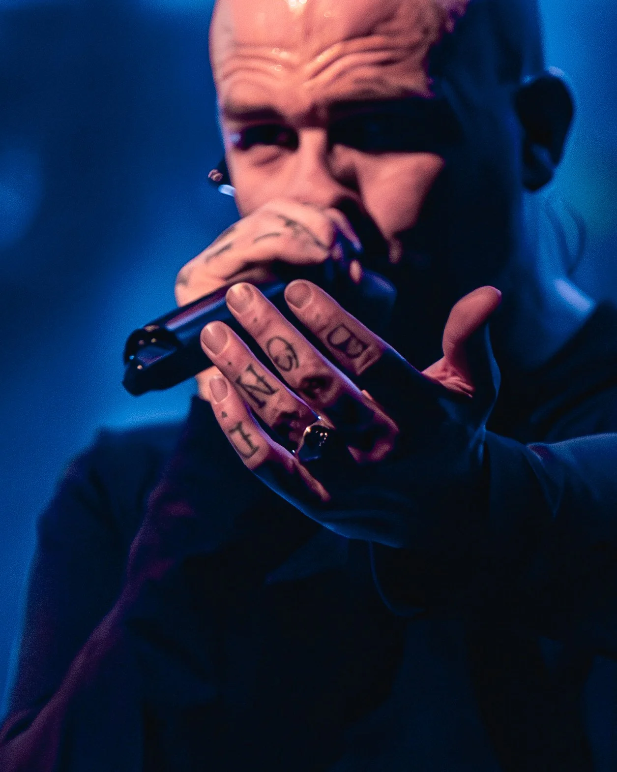 2 - Great American Ghost (14).jpg