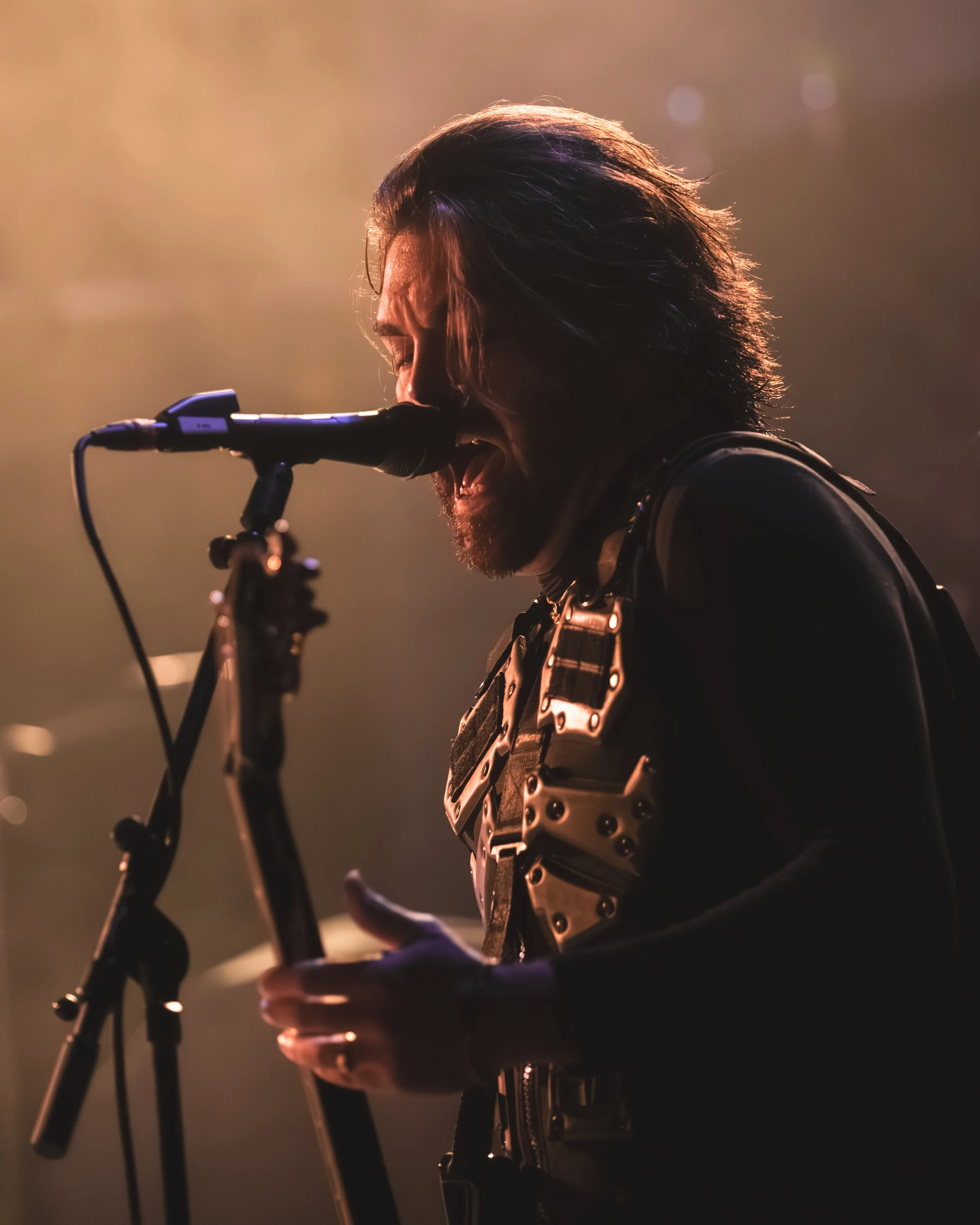 2 - Great American Ghost (16).jpg