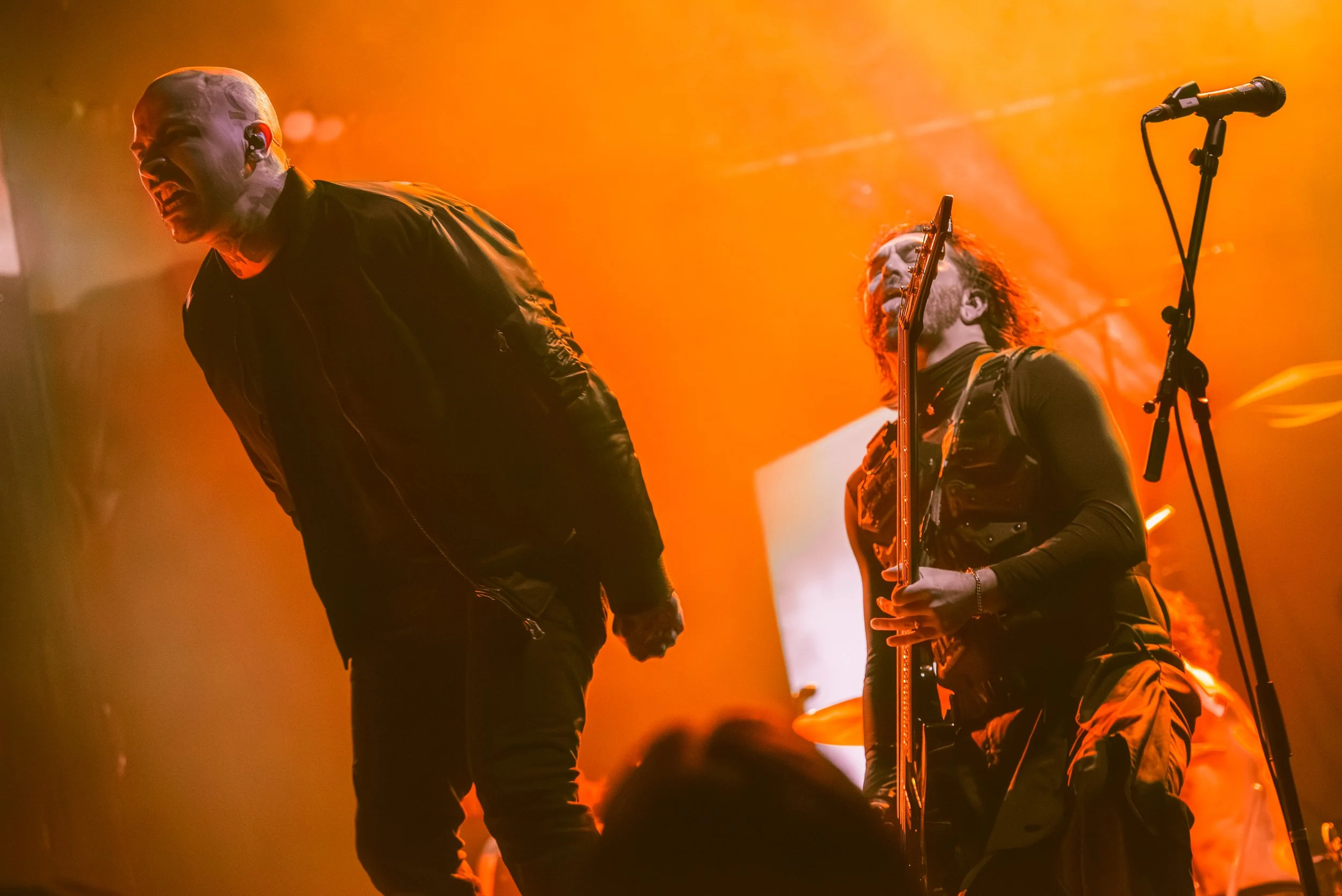 2 - Great American Ghost (3).jpg